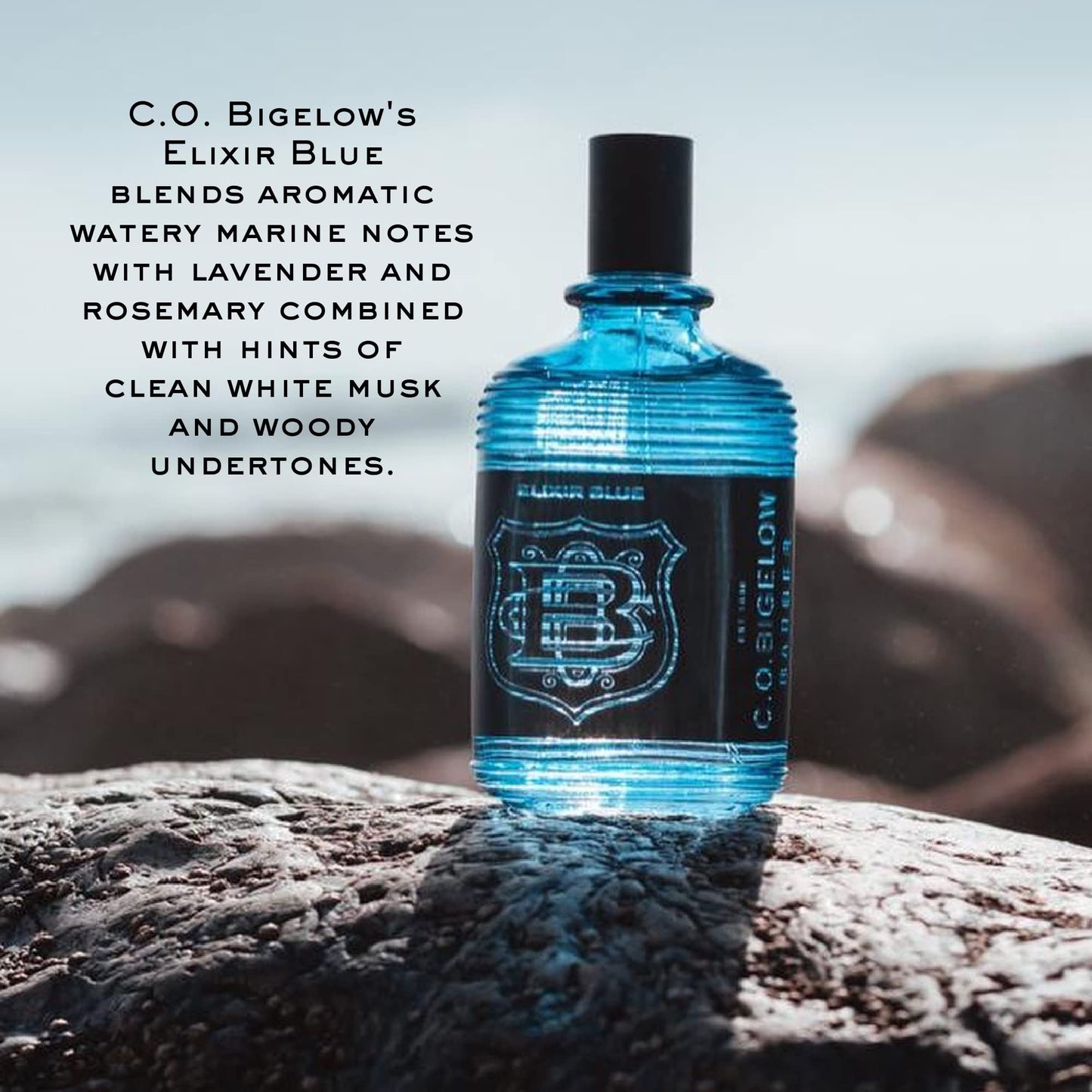 C.O. Bigelow Elixir Blue Cologne for Men, Watery Marine Fragrance, Long Lasting Men's Cologne, Elixir Perfume for Men, 2.5 Fl Oz Beauty & Personal Care C. O. Bigelow