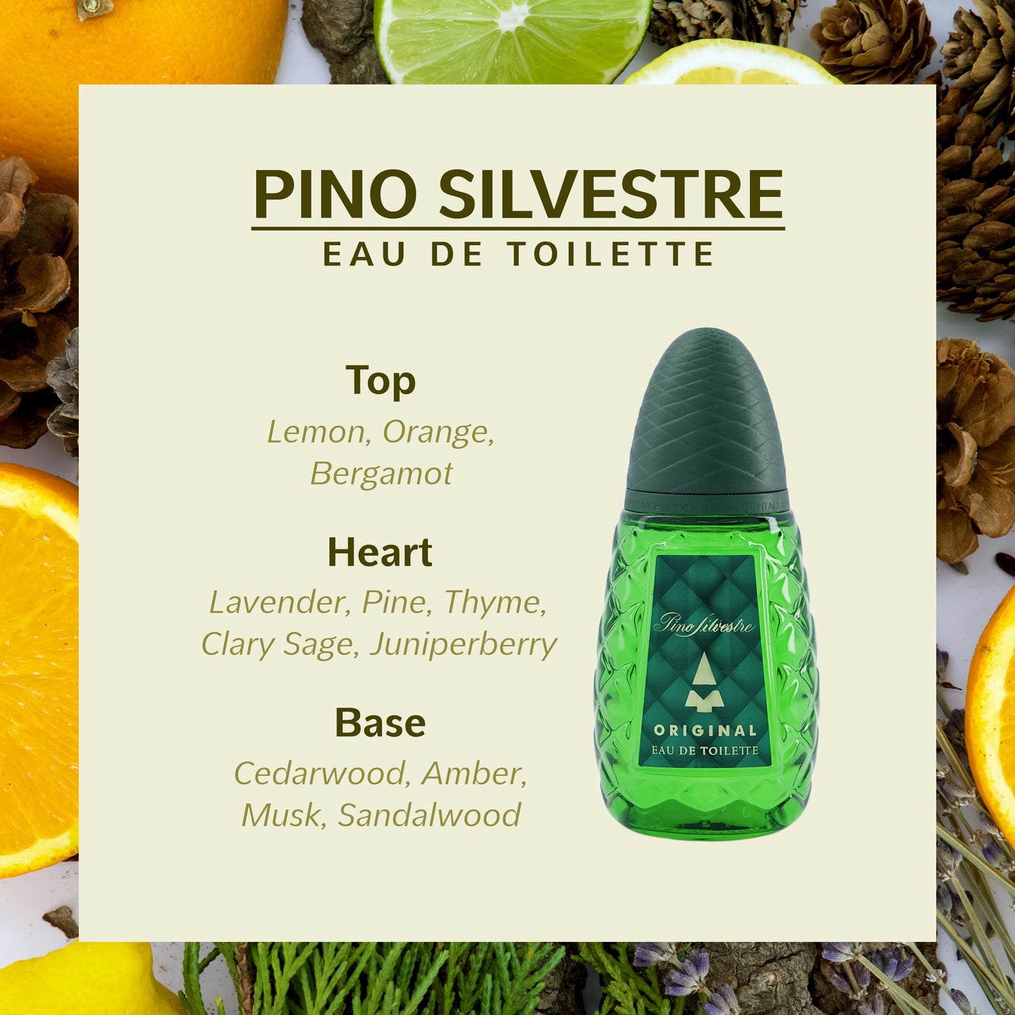 Pino Silvestre Original By Pino Silvestre For Men - A Men's Eau De Toilette Cologne Perfume Spray With A Million Dollar Fragrance - An Extreme Beauty & Personal Care Pino Silvestre