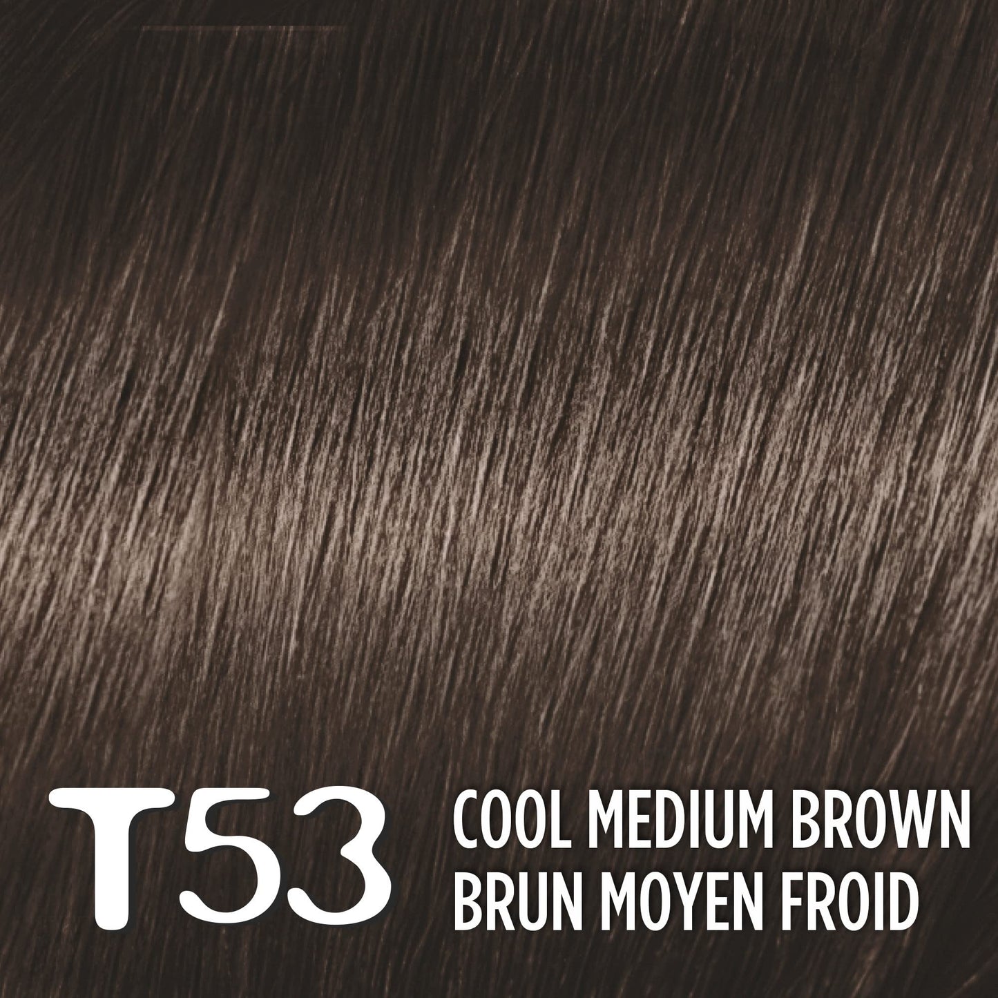 L'Oreal Paris Feria Multi-Faceted Shimmering Permanent Hair Color, T53 Moonlit Tortoise (Cool Medium Brown), Pack of 1, Hair Dye Beauty & Personal Care L'Oreal Paris
