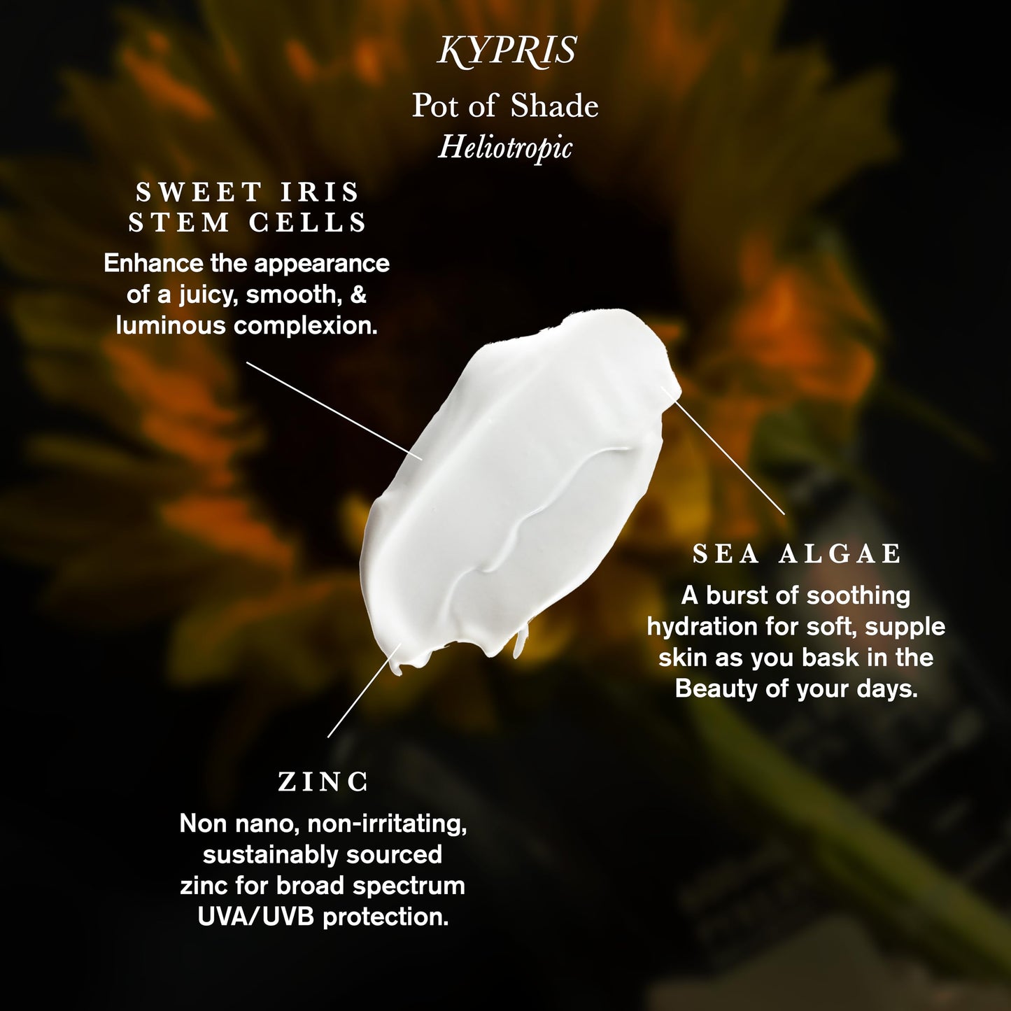 KYPRIS, Pot of Shade: Heliotropic - SPF 30 & Primer (.93 fl oz / 27 ml) Beauty & Personal Care KYPRIS