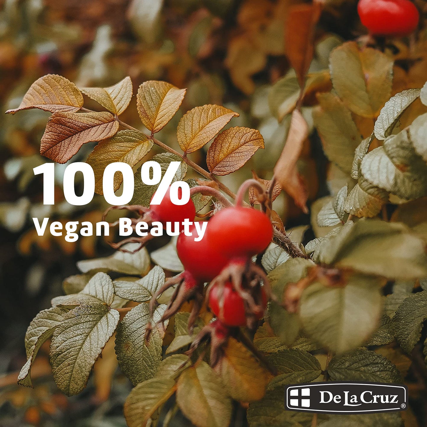 De La Cruz Rosehip Oil, 100% Pure Unrefined Cold-Pressed Chilean Rosehip Seed Oil, Moisturizer To Reduce Fine Lines, Wrinkles 1Fl Oz Beauty & Personal Care De La Cruz