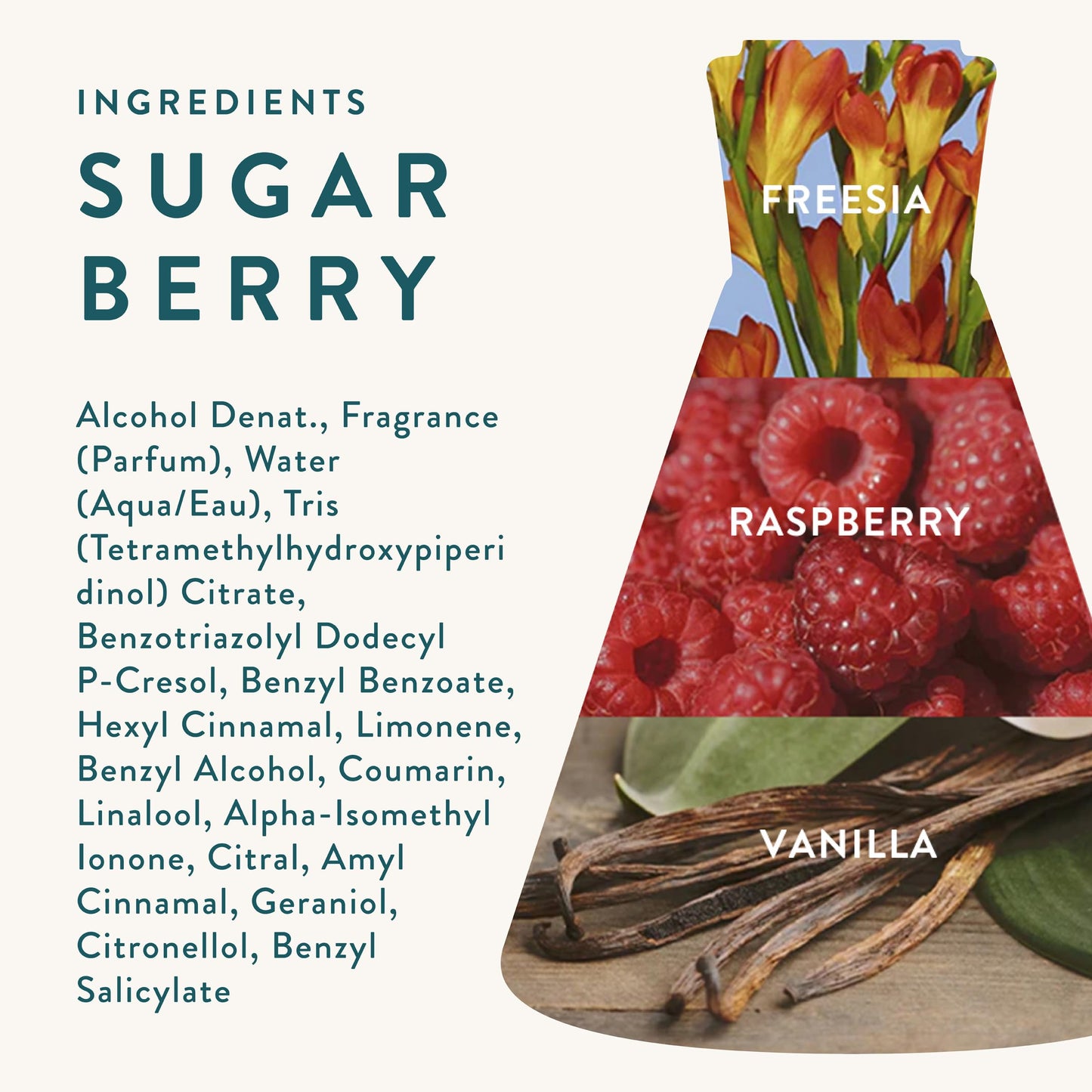Good Chemistry Sugar Berry Eau de Parfum 1.7 fl oz - Long-Lasting Perfume with Freesia, Raspberry, & Vanilla - Sweet, Clean & Vegan Beauty & Personal Care Good Chemistry