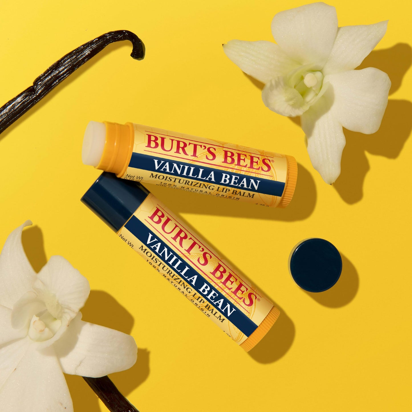 Burt's Bees Vanilla Bean Lip Balm, Lip Moisturizer With Responsibly Sourced Beeswax, Tint-Free, Natural Conditioning Lip Treatment, 1 Tube, 0.15 oz. Beauty & Personal Care Burt's Bees