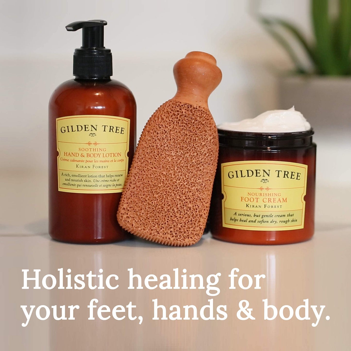 GILDEN TREE Soothing Hand & Body Lotion with Organic Aloe Vera and Shea Butter, 8 ounce pump, Heals Dry Skin and Softens Rough, Bumpy, Flaky Dead Skin Beauty & Personal Care GILDEN TREE