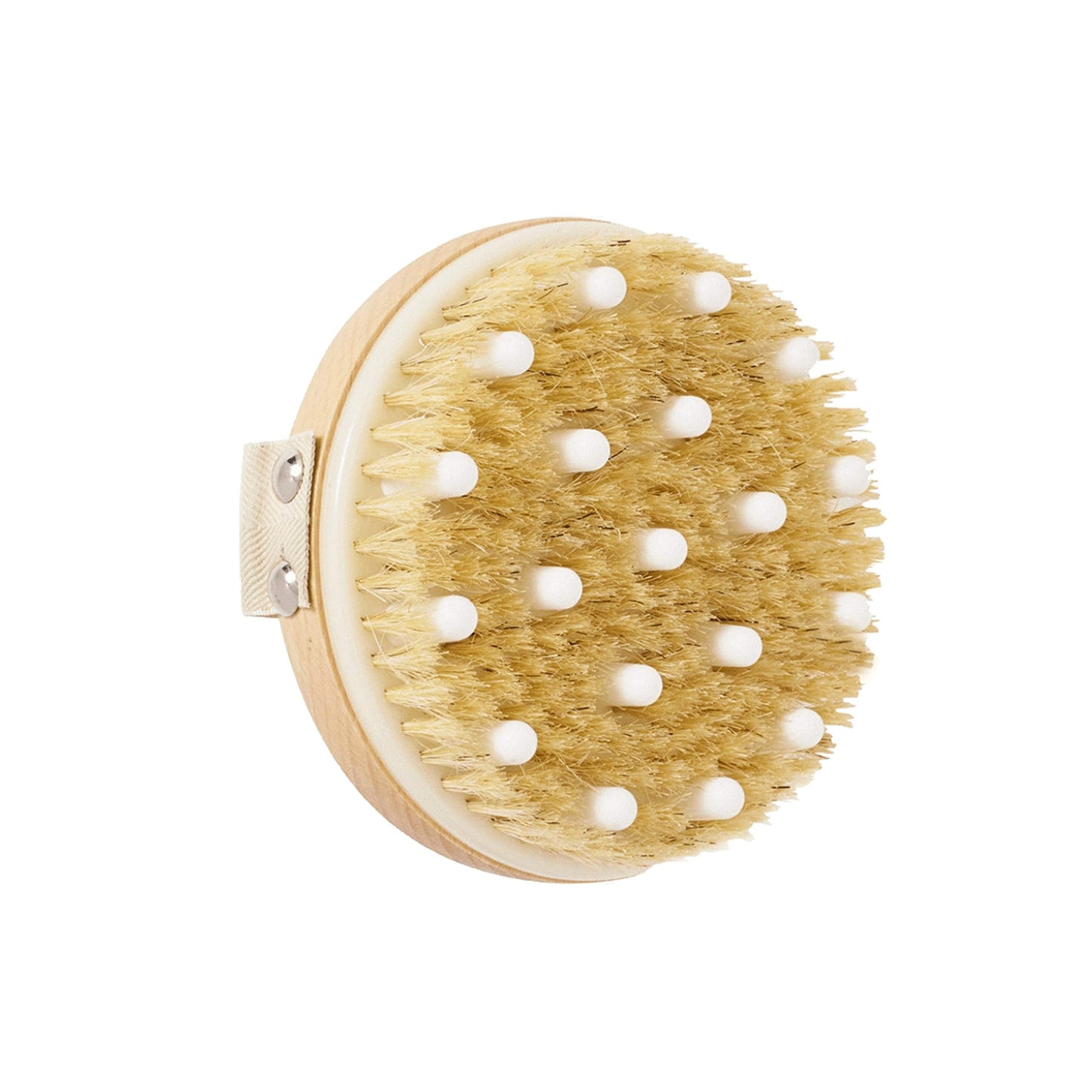 DAILY CONCEPTS Daily Detox Massage Brush, Vigorous, 1 Count Beauty and Personal Care DAILY CONCEPTS