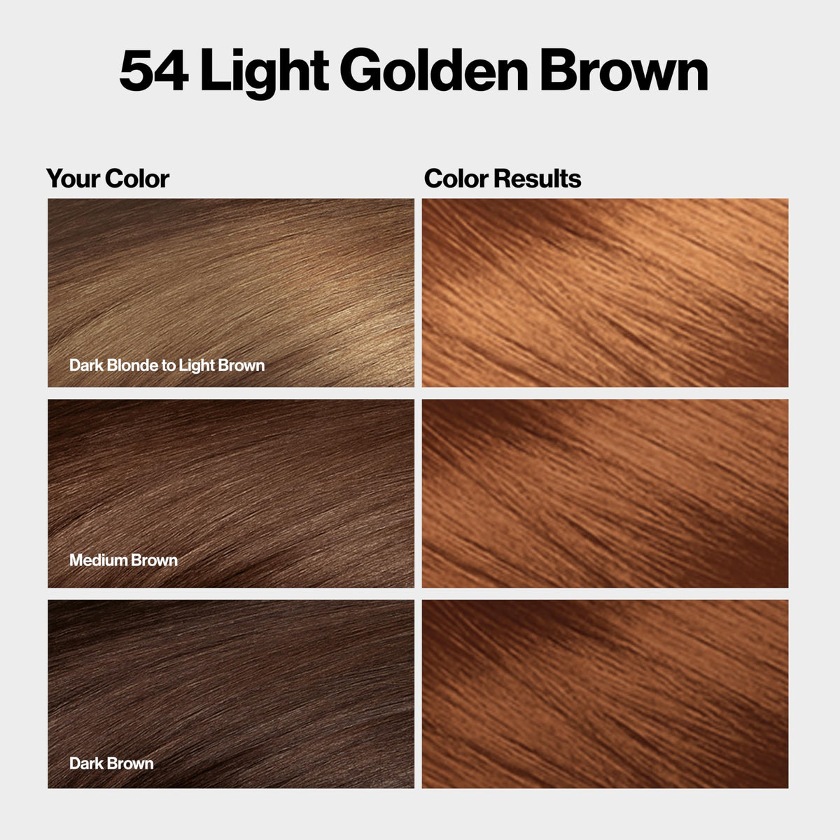 Revlon ColorSilk with Bond Repair Complex, Brown Permanent Hair Color, 100% Gray Coverage, Ammonia Free Hair Dye, Vegan Keratin, 54 Light Golden Brown Beauty & Personal Care REVLON