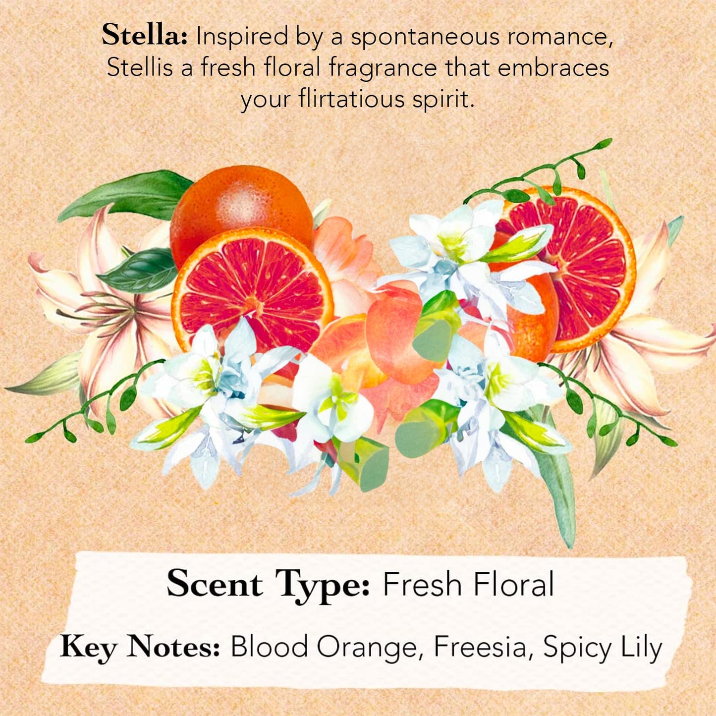Tocca Mini Perfume Set of 6 ($90 Value) - 5ml (0.16 Fl Oz) Each, Spring Garden Collection - Includes Florence, Stella, Simone, Giulietta, Cleopatra Beauty & Personal Care Tocca