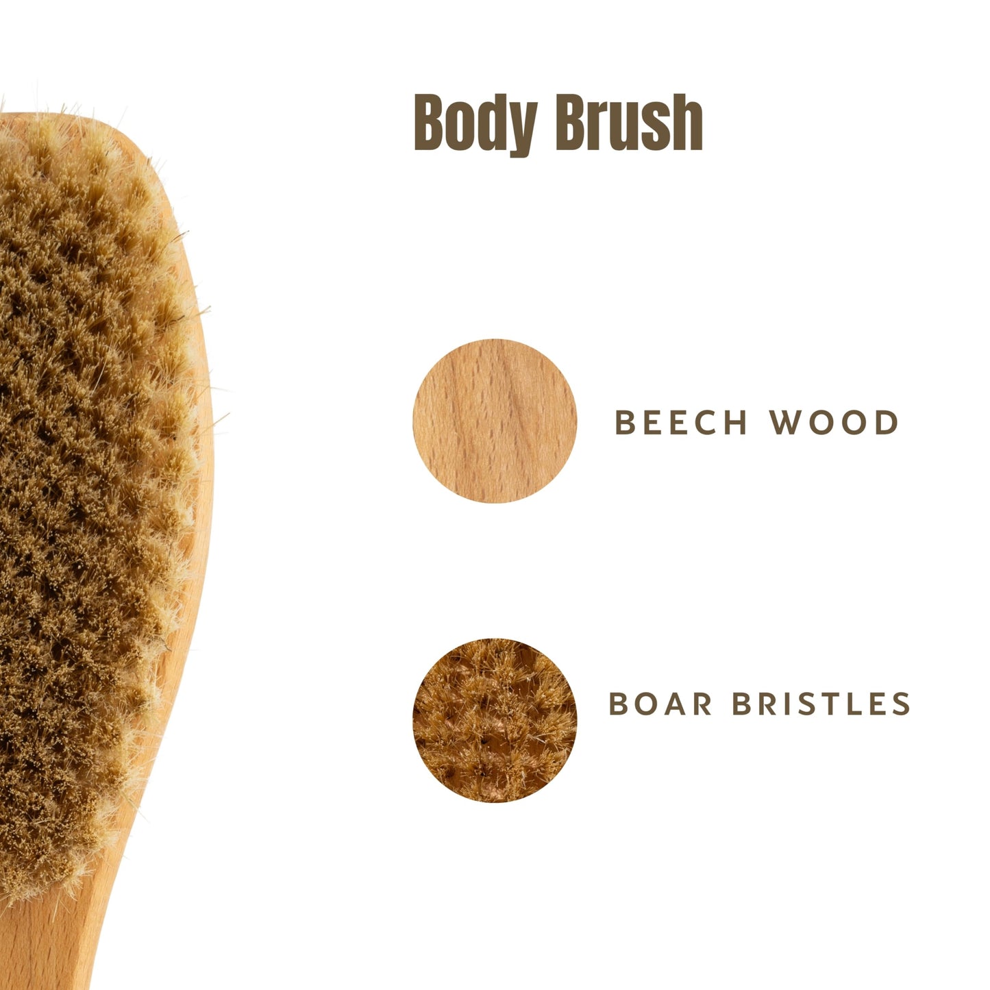 KONEX Bath Brush Set, Exfoliating Shower Scrubber, Dry Brushing Body Brush Set, Pore Opening, Beechwood Handle with Natural Bristle Large 15" Plus Beauty & Personal Care KONEX