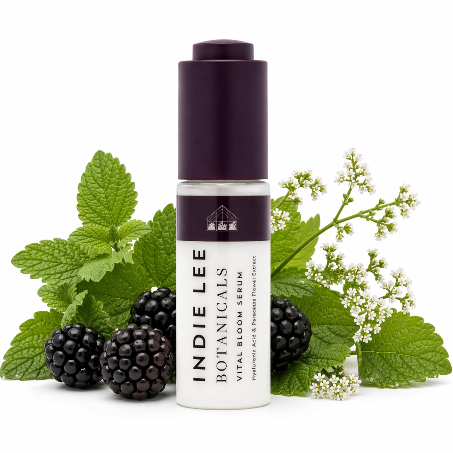 Indie Lee Vital Bloom Serum, 1 Fz Beauty & Personal Care Indie Lee
