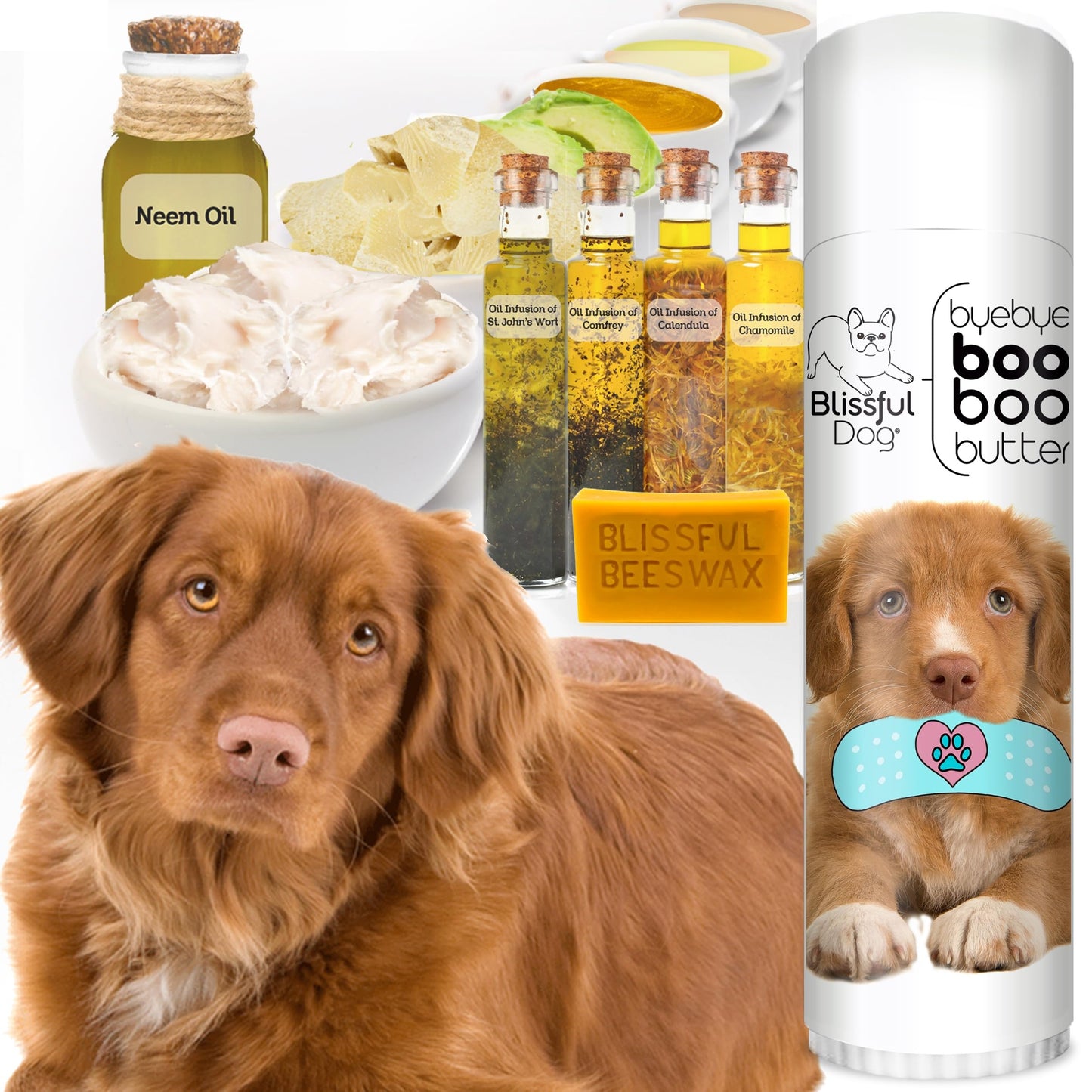 The Blissful Dog Nova Scotia Duck Tolling Retriever Boo Boo Butter, 0.50-Ounce Beauty and Personal Care The Blissful Dog
