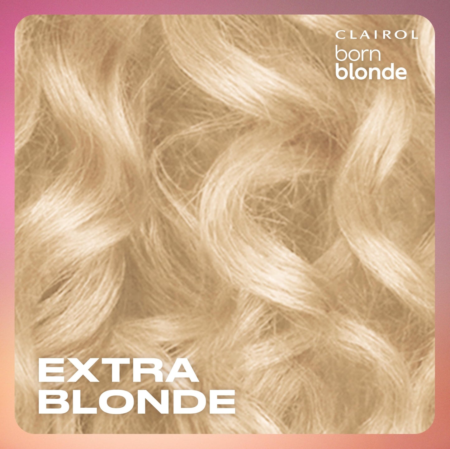 Clairol Born Blonde Extra Blonde Bleach Kit, Complete Lightening System, Up to 6 Levels Lighter Hair Color, Pack of 1 - Packaging May Vary Beauty & Personal Care Clairol