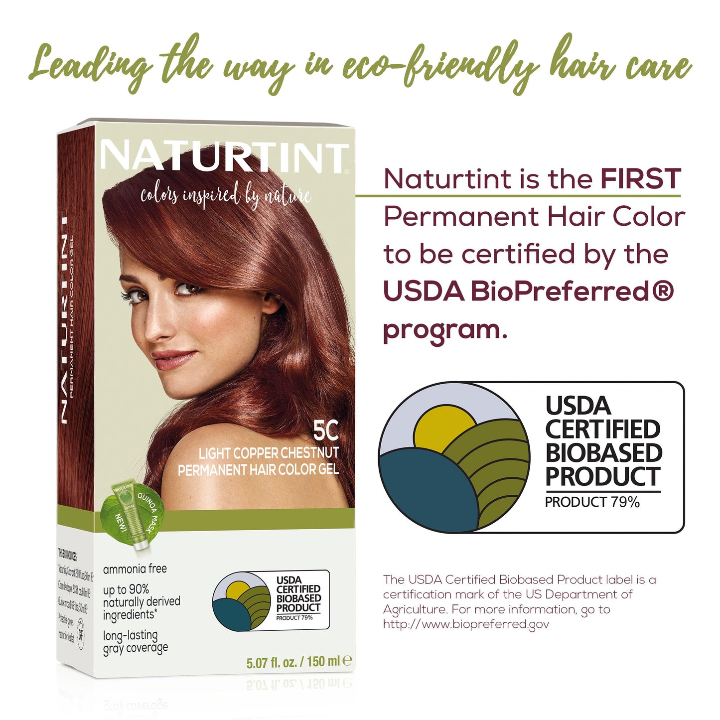 Naturtint Hr Clr 5c Lt Copper Chstnt Beauty & Personal Care Naturtint