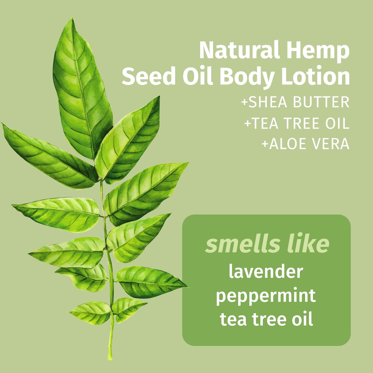 Hempz Mini Tea Tree Herbal Body Moisturizer 2.25 oz. Beauty & Personal Care Hempz