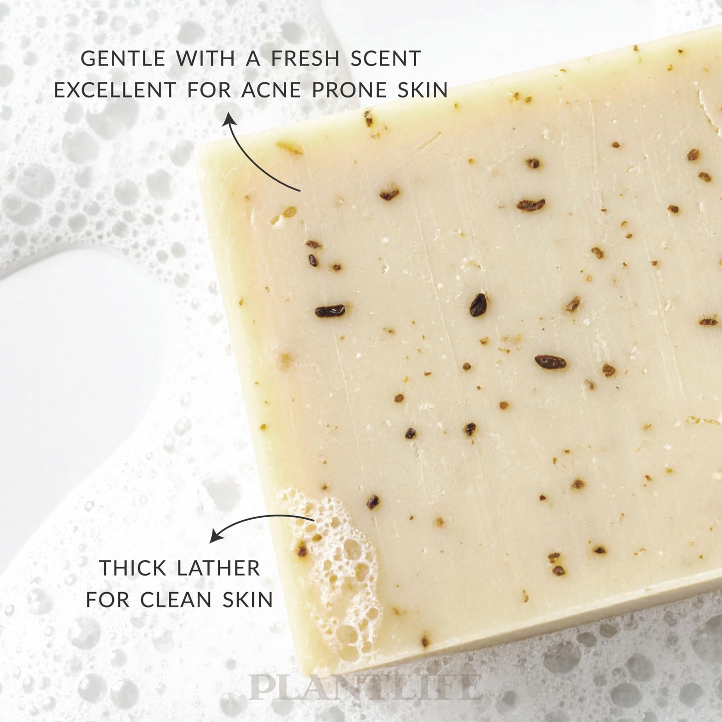 Plantlife Rosemary Tea Tree Bar Soap - Moisturizing and Soothing Soap for Your Skin - Hand Crafted Using Plant-Based Ingredients - Made in California Beauty & Personal Care Plantlife
