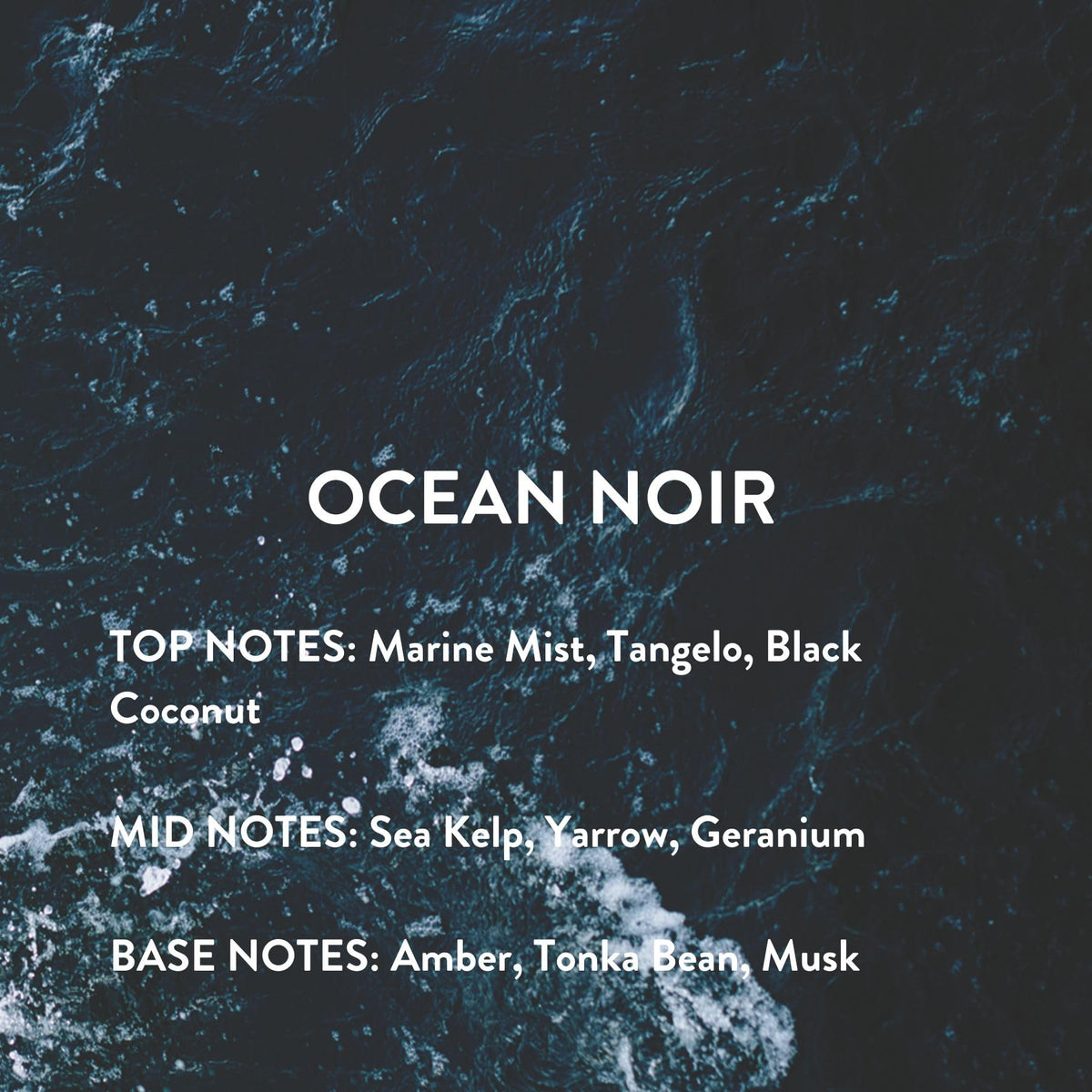 Michael Malul Ocean Noir Eau de Parfum for Men - 10ml Travel Size Beauty & Personal Care Michael Malul