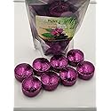 Spa Pure Headache Relief Aromatherapy: Shower Bombs USA Made with 100% Natural/Organic Essential Oils - Lavender, Eucalyptus - Transform Your Shower… Beauty & Personal Care Spa Pure