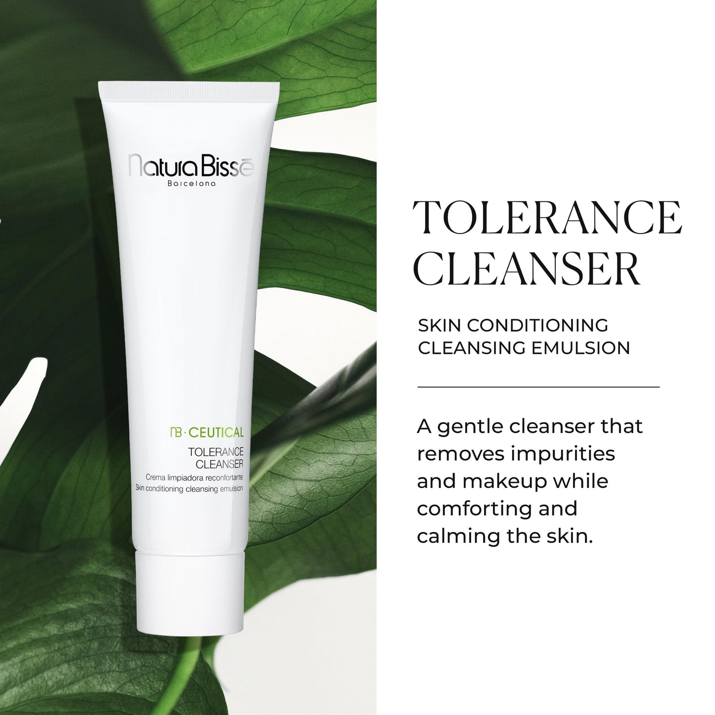 Natura Bissé NB Ceutical Tolerance Cleanser, Skin Conditioning Cleansing Emulsion, Cleanses, Comforts & Soothes, For Delicate & Sensitive Skin, 5.3 Oz Beauty & Personal Care Natura Bissé