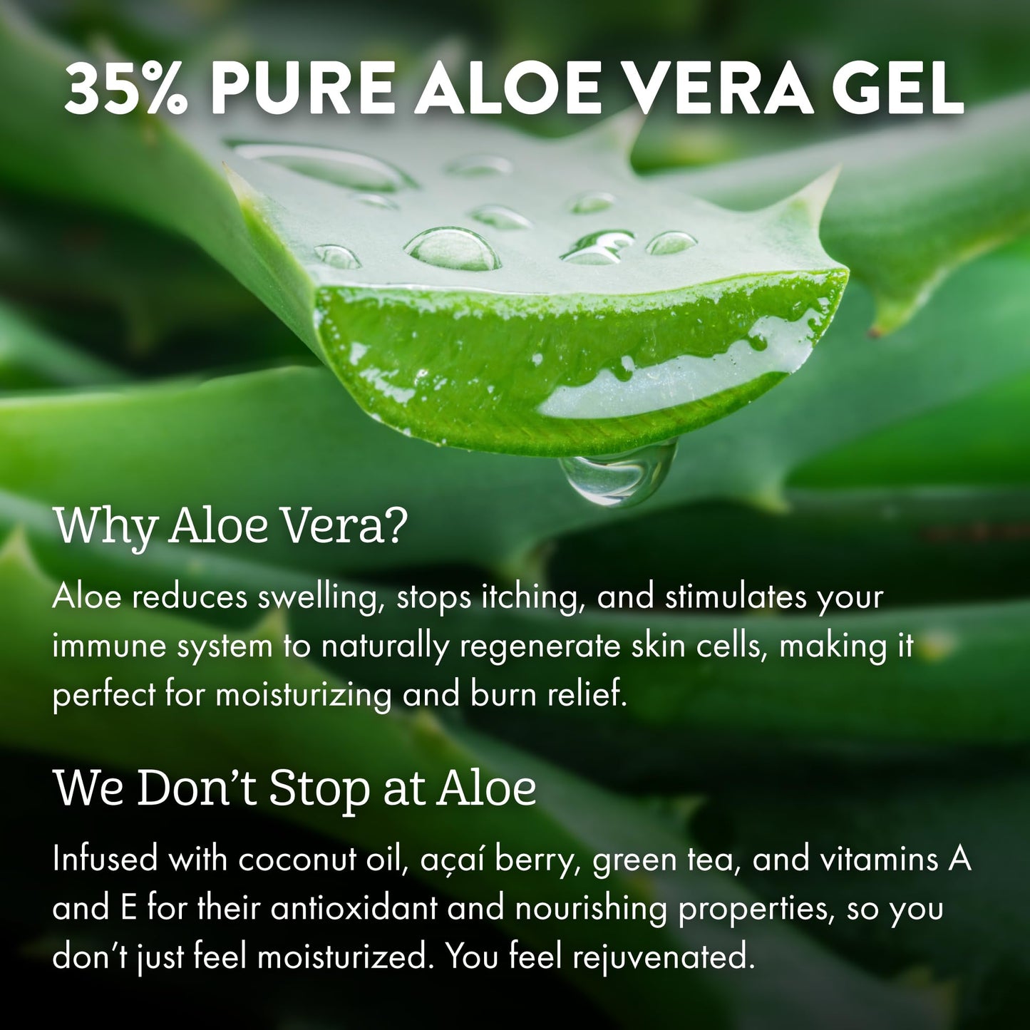 ALOE UP Spa Collection After Sun Light Moisturizer - Organic Hydrating After Sun Lotion With Aloe Vera Gel and Vitamin E - Reef Friendly - Mineral Oil Beauty & Personal Care ALOE UP