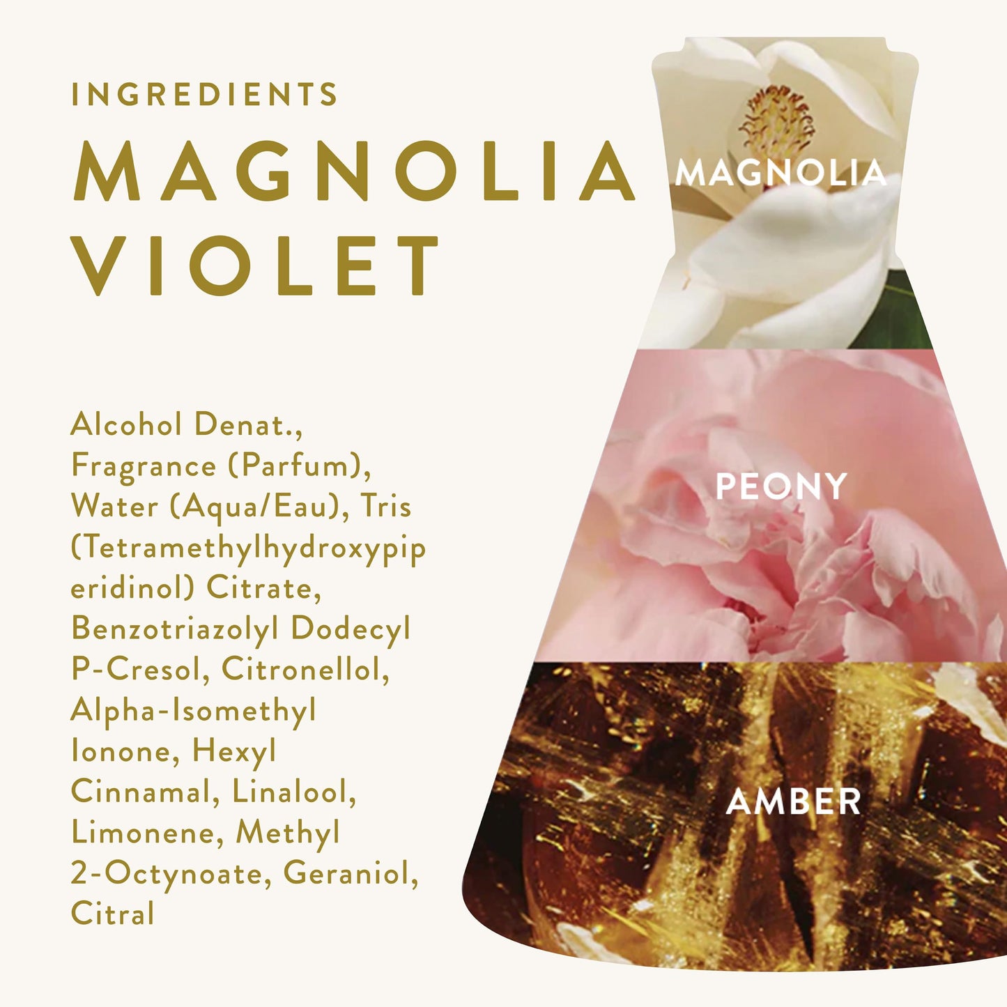 Good Chemistry Magnolia Violet Eau de Parfum 1.7 fl oz - Long-Lasting Perfume with Magnolia, Peony, & Amber - Romantic, Clean & Vegan Beauty & Personal Care Good Chemistry