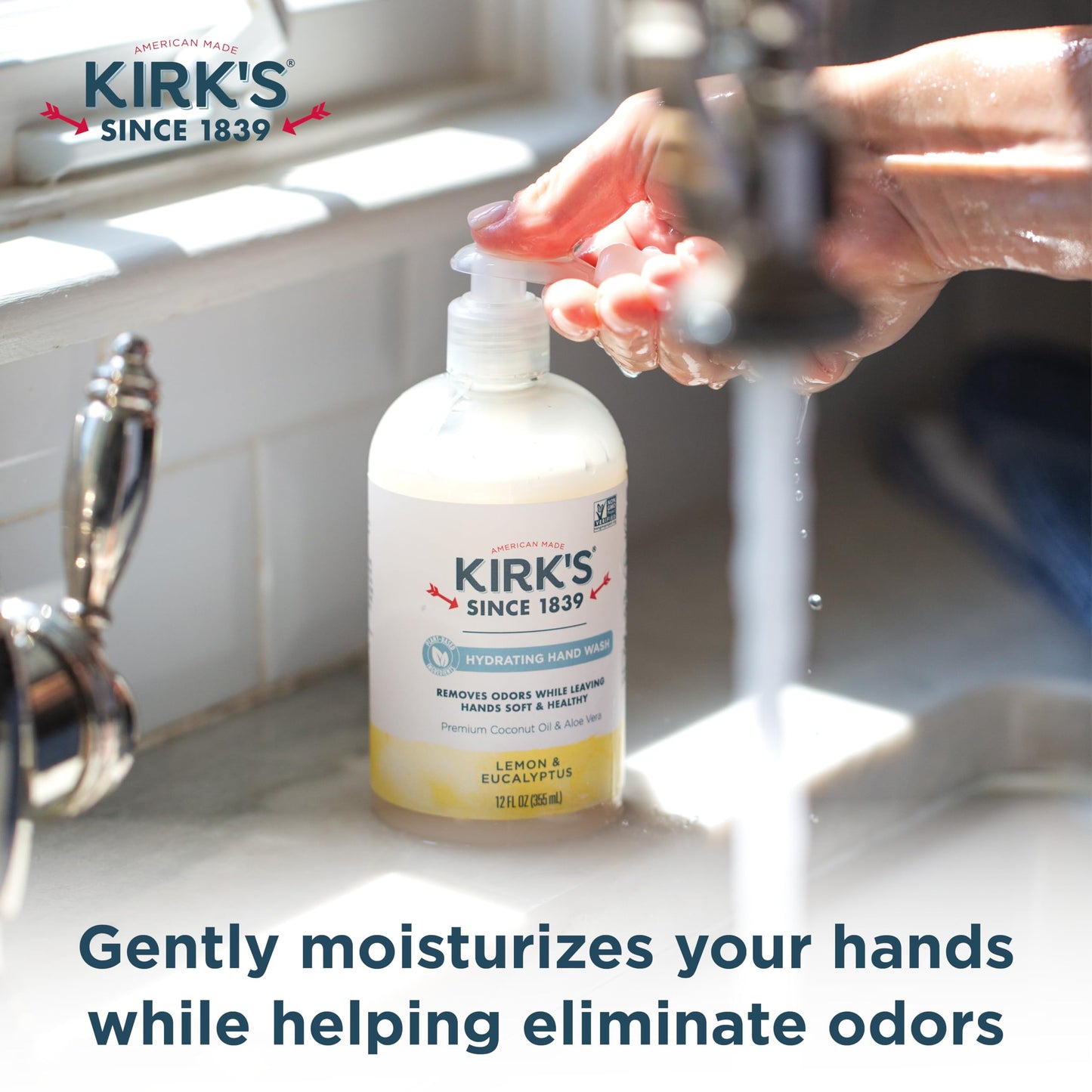 Kirk's Odor-Neutralizing Clean Hand Soap Castile Liquid Soap Pump Bottle | Moisturizing & Hydrating Kitchen Hand Wash | Lemon & Eucalyptus Scent | 12 Beauty & Personal Care Kirk's