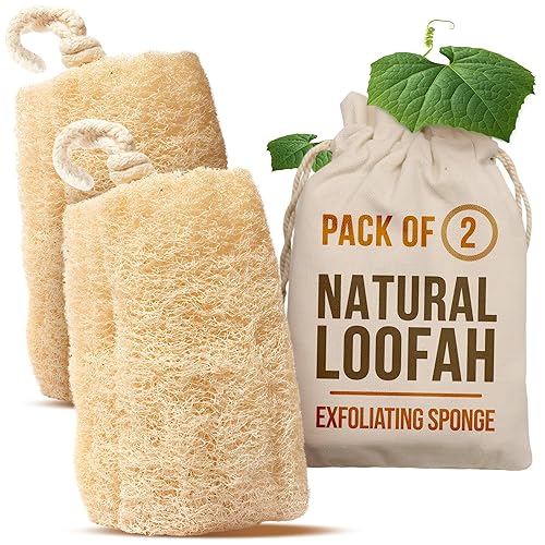 CraftsOfEgypt Natural Loofah Sponge - Egyptian Luffa Body Scrubber Pack of 2 for Men & Women, Natural Bath & Shower Loofah Exfoliator, All Natural Beauty & Personal Care CraftsOfEgypt