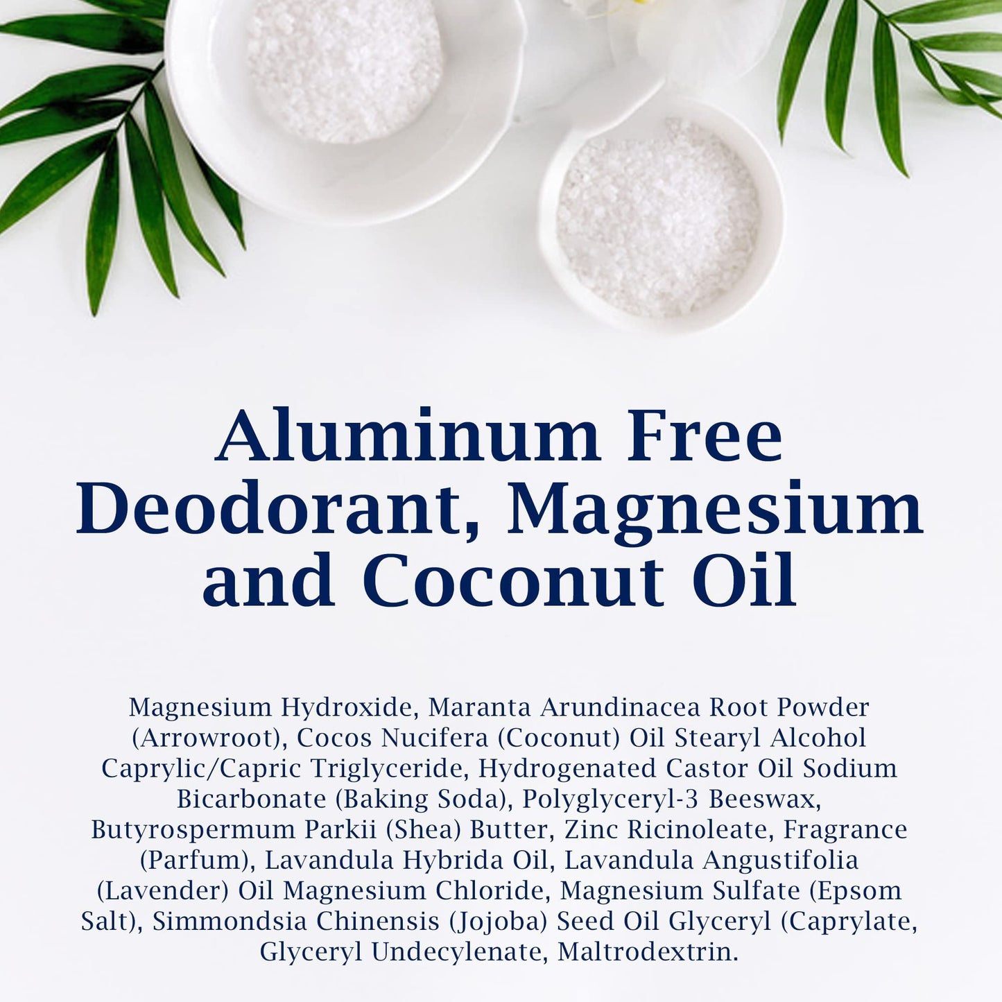 Dr Teal's Aluminum Free Deodorant - Coconut Oil - Paraben & Phthalate Free - 2.65 oz Beauty and Personal Care Dr Teal's
