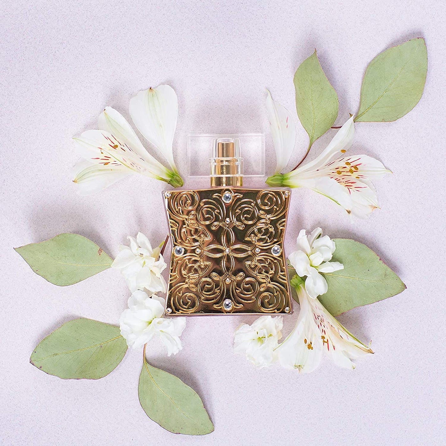 Tru Western Lace Women's Perfume, 1.7 fl oz (50 ml) - Delicate, Sophisticated, Warm Beauty & Personal Care Tru Fragrance Beauty