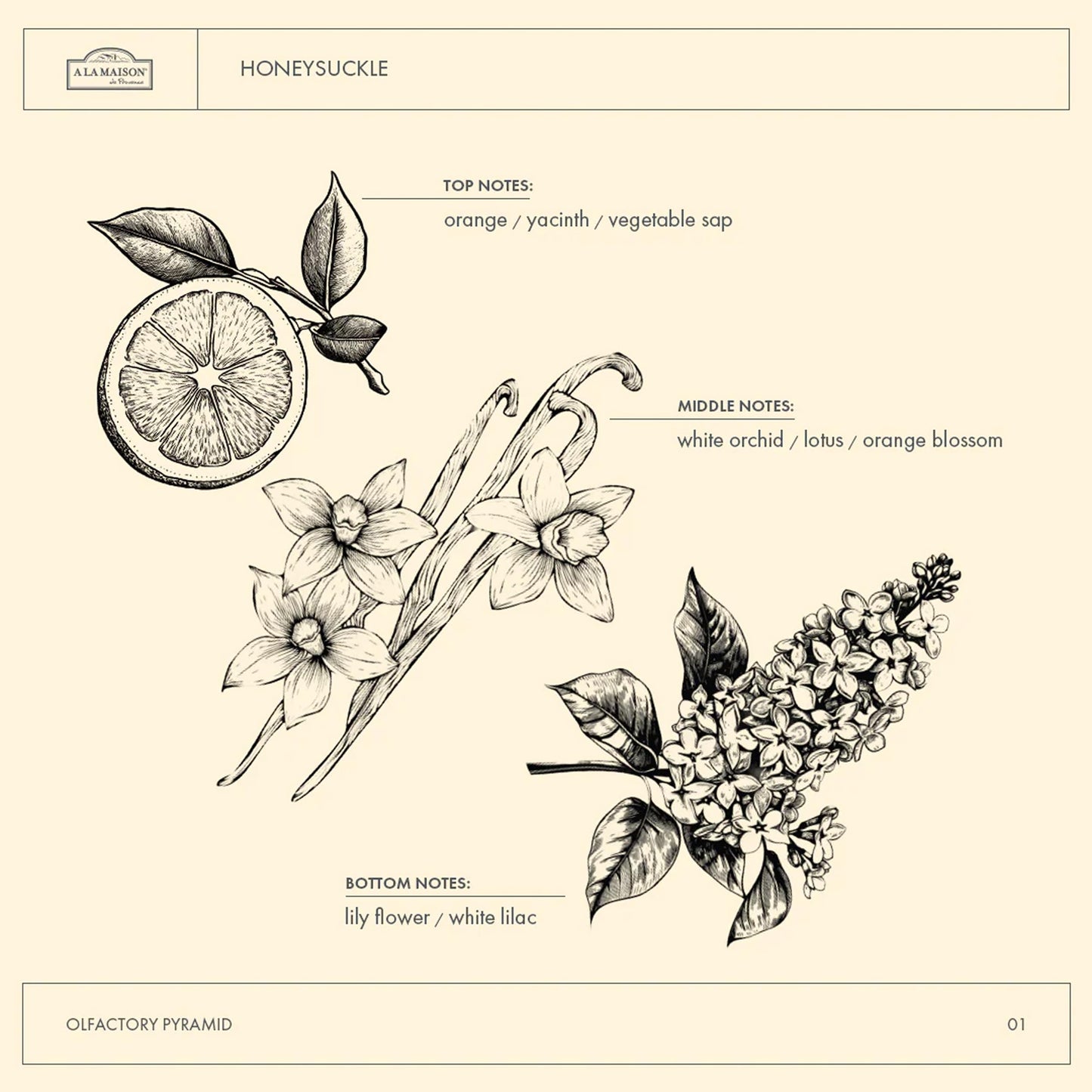 A LA MAISON Honeysuckle French Liquid Hand Soap - Natural Hand Wash Made with Essential Oils - Biodegradable, Plant-Based, Vegan, Cruelty-Free Beauty & Personal Care A LA MAISON