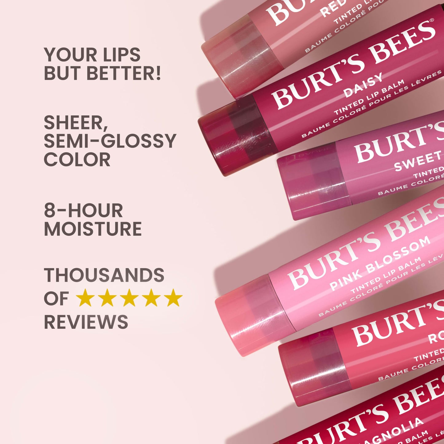 Burt's Bees Lip Tint Balm, Long Lasting 2 in 1 Duo Tinted Balm Formula, Color Infused with Hydrating Shea Butter for a Natural Looking Buildable Beauty & Personal Care Burt's Bees