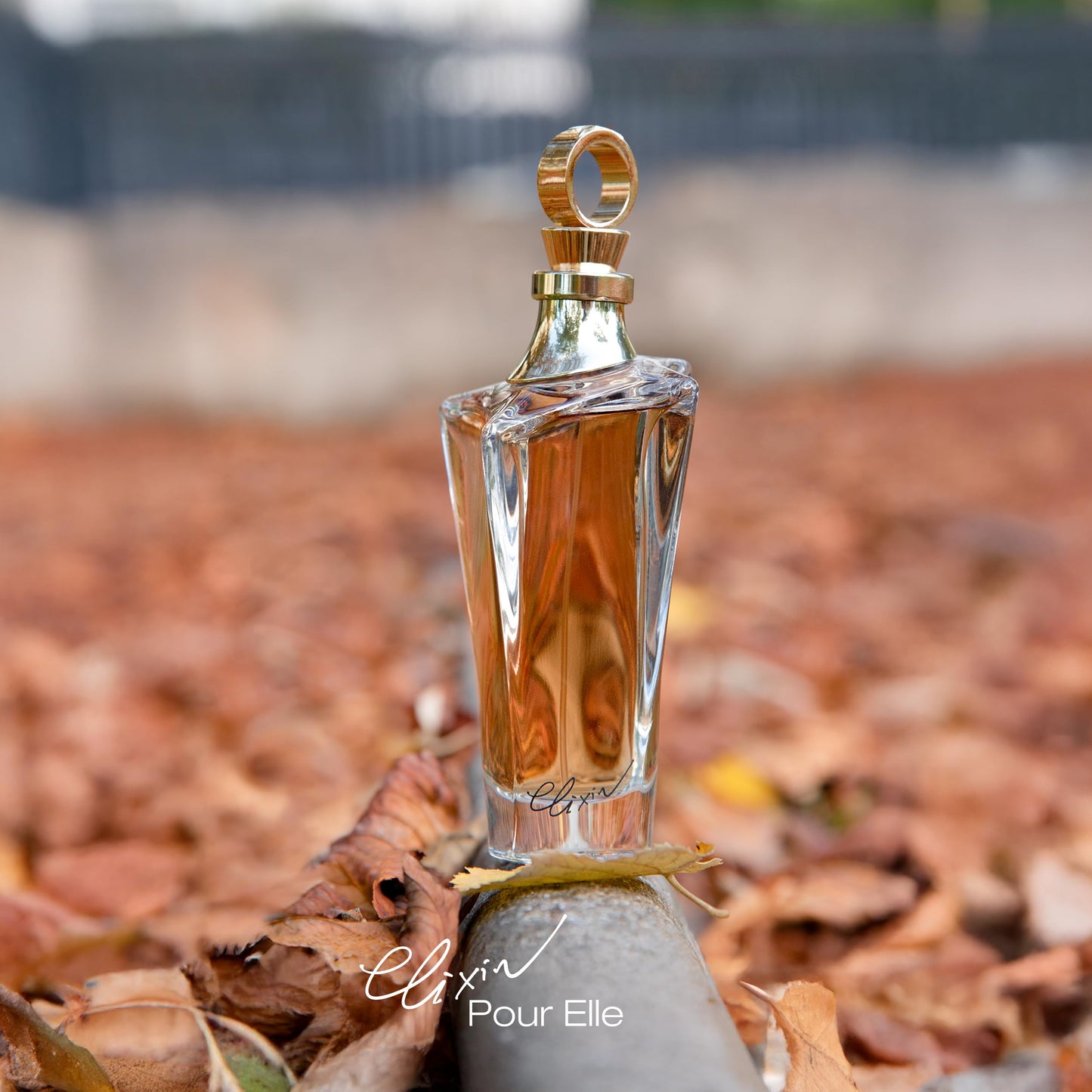 Mauboussin - Elixir Pour Elle 100ml (3.3 Fl Oz) - Eau de Parfum for Women - Floral & Oriental Scents Beauty & Personal Care Mauboussin