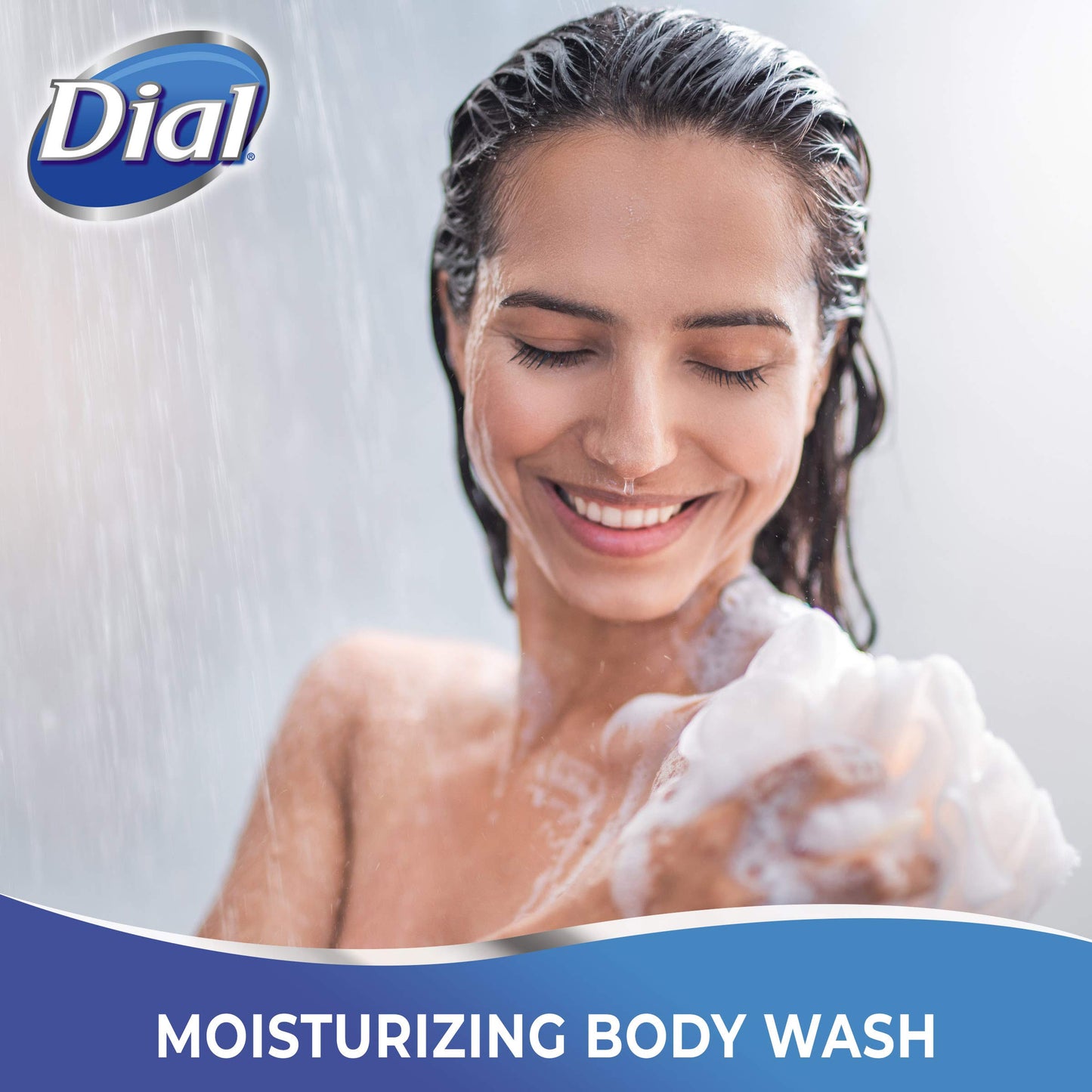 Dial Pure Moisture Body Wash, Neroli, 14 Ounce (Pack of 4) Beauty & Personal Care Dial