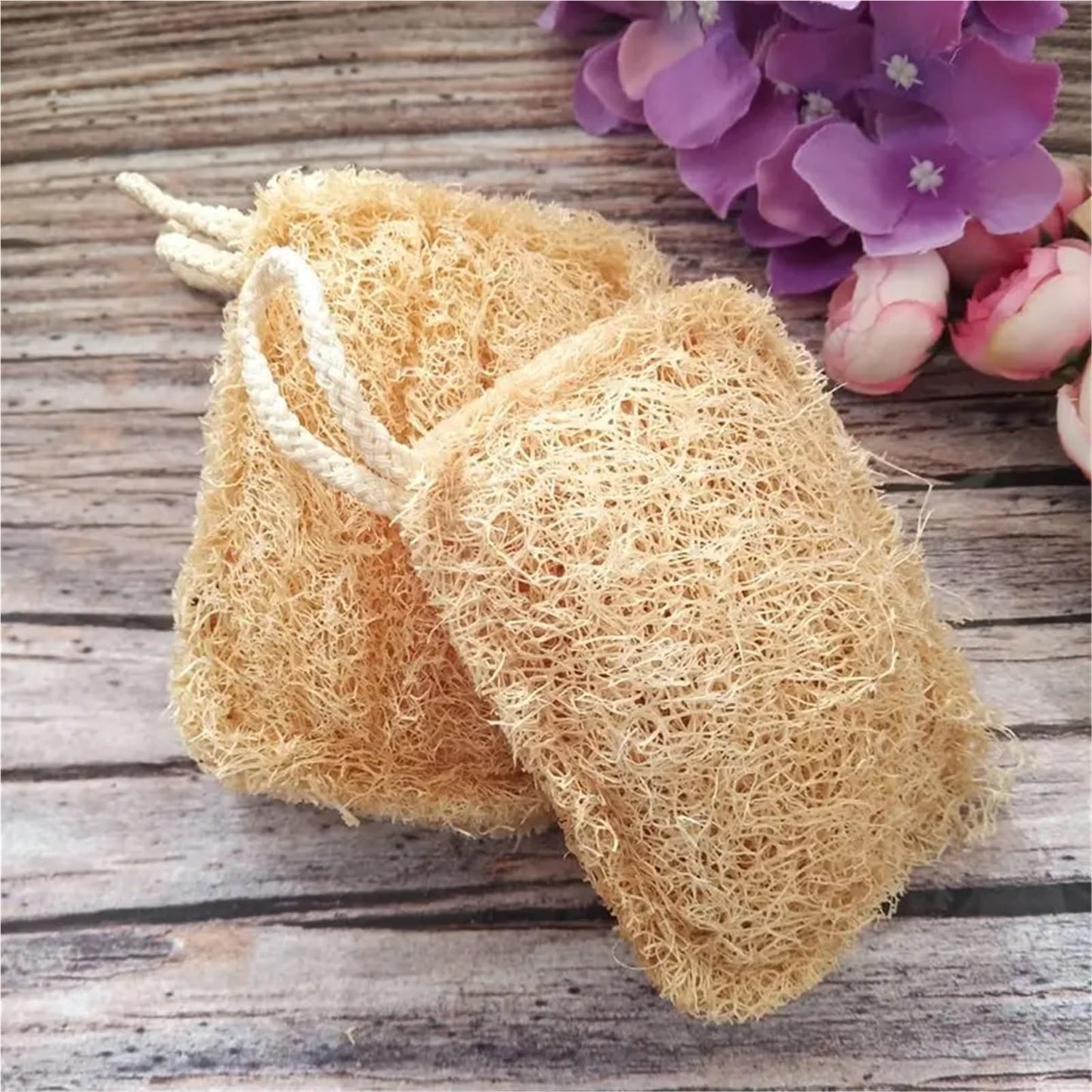 Kitchen Loofah Sponge Greener Clean Tools Non-Scratch Brush Natural Dish Scrubbers Luffa Loofa Lufa Sponge Tools(1 pcs) Beauty and Personal Care HIVJEEDYH