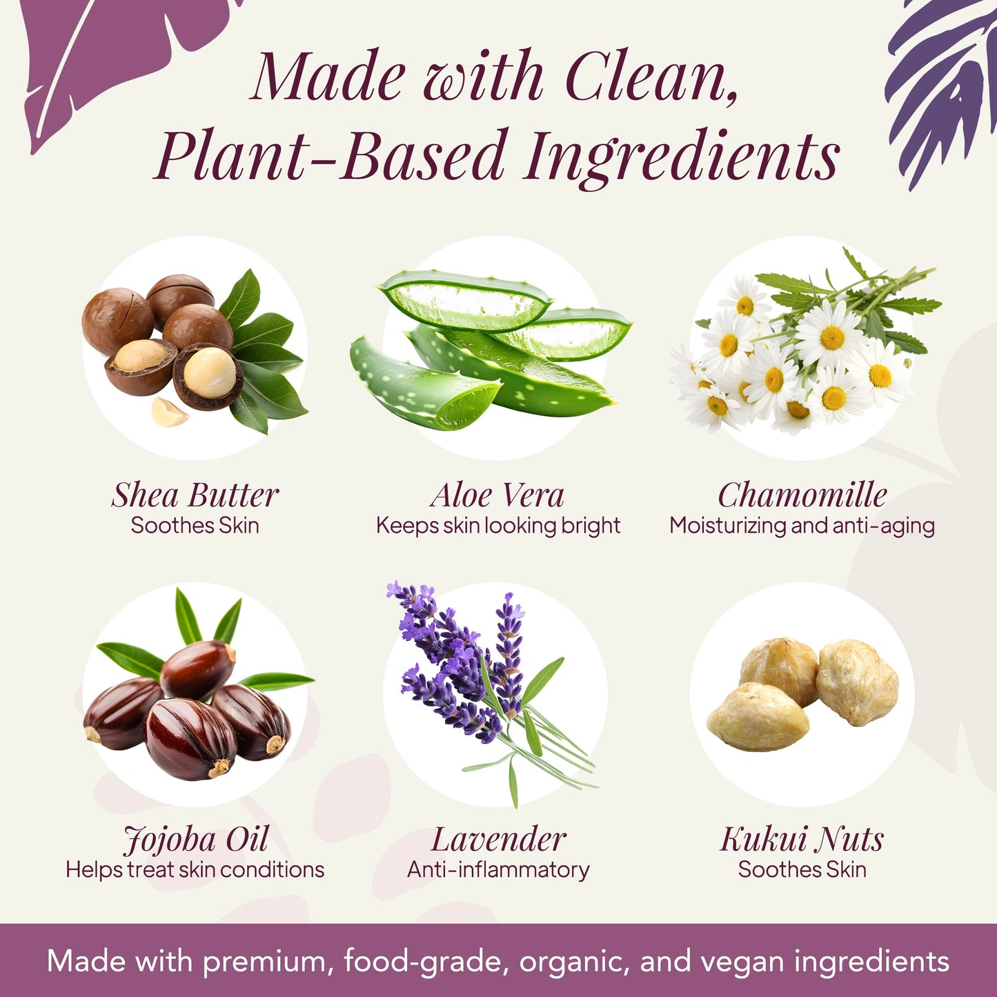 Saavy Naturals Moisturizing Body Wash for Sensitive Skin - Plant-Based & Pure with Coconut Oil, Shea Butter & Aloe Vera - Paraben-Free, Cruelty-Free Beauty & Personal Care Saavy Naturals