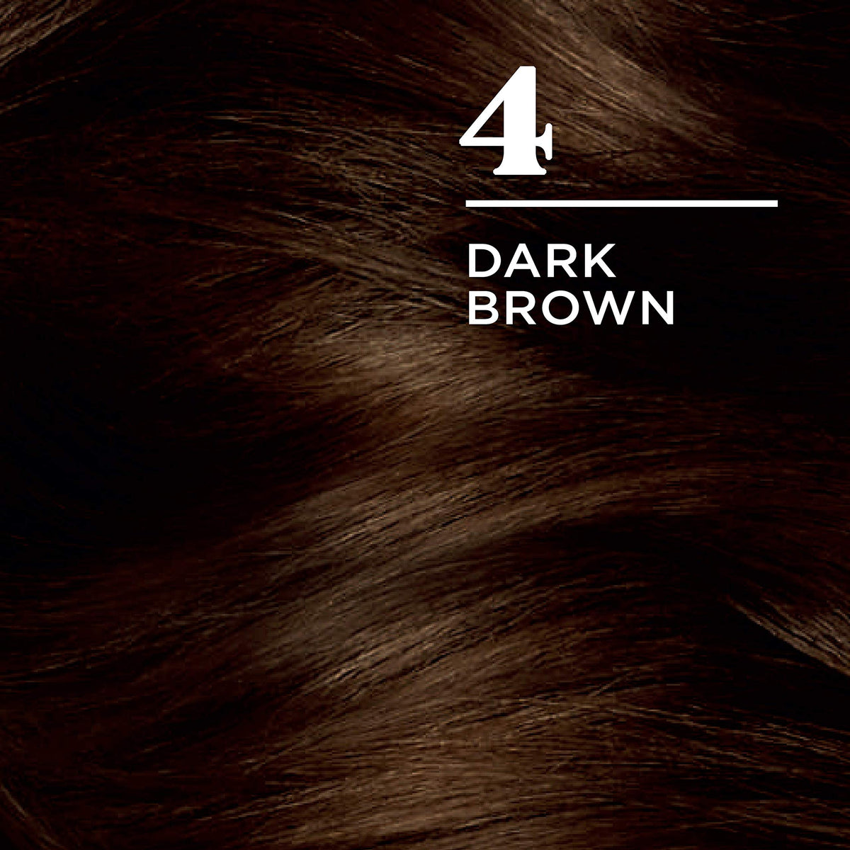 Clairol Nice&Easy 4 Dark Brown Hair Color Beauty & Personal Care Clairol