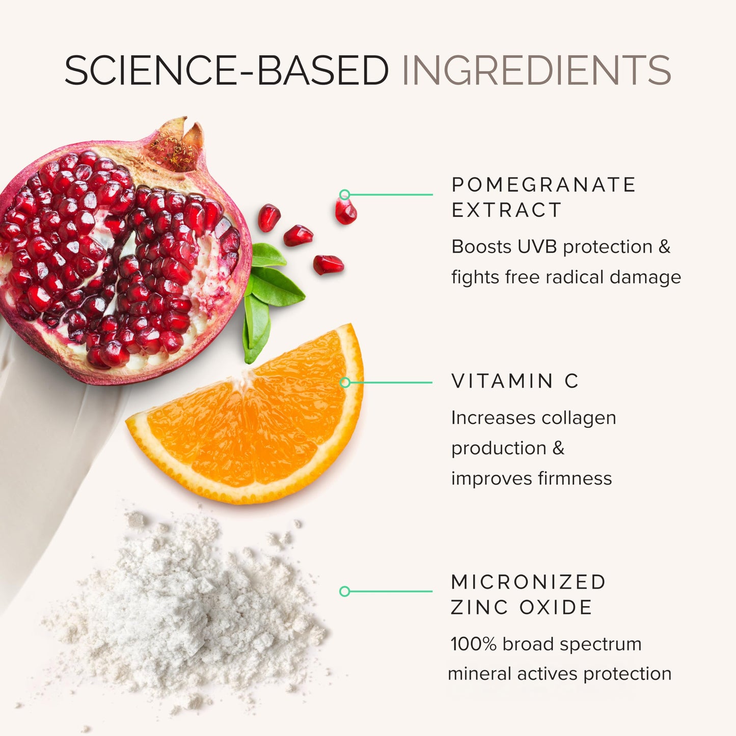 MDSolarSciences Mineral Crème Sunscreen SPF 50 | Water-Resistant Broad Spectrum UV Protection | Zinc Oxide Formula with Antioxidants | No White Cast Beauty & Personal Care MDSolarSciences
