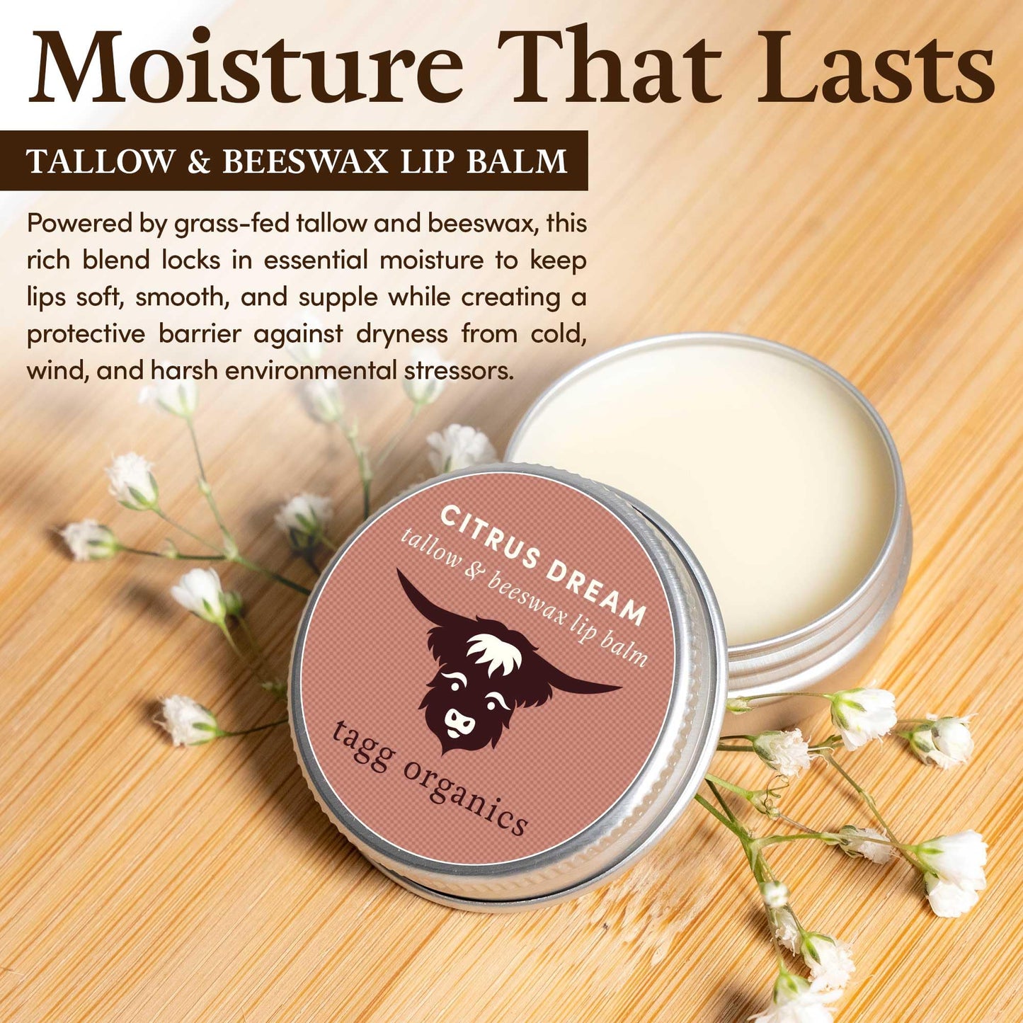Citrus Dream Moisturizing Tallow Lip Balm - Nourishing & Soothing w/Organic Grass-Fed & Finished Tallow, 100% All Natural Beeswax & Essential Oils Beauty and Personal Care TAGG ORGANICS