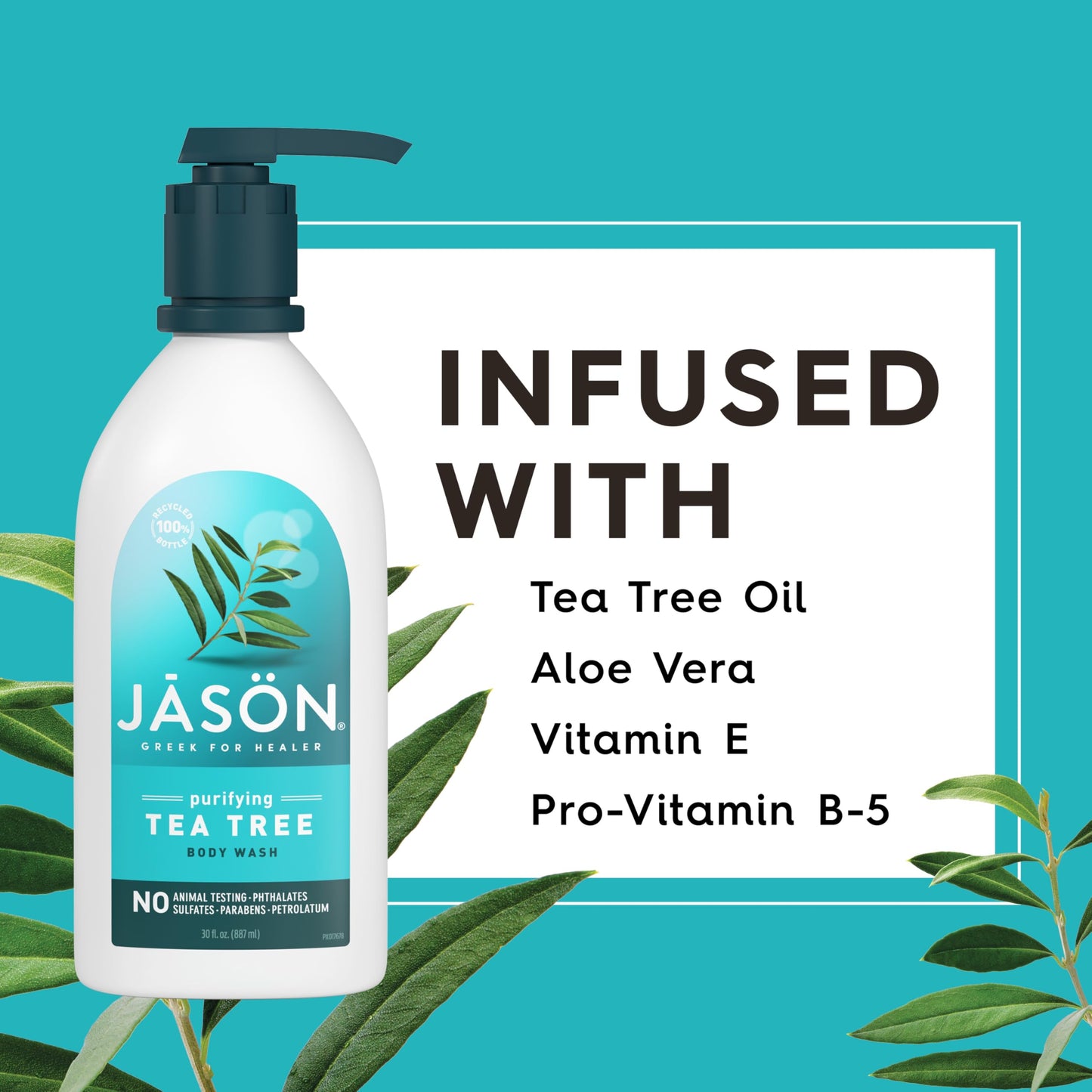 Jason Body Wash Tea Tree,1.87 Pound (Pack of 2) Beauty & Personal Care JASON