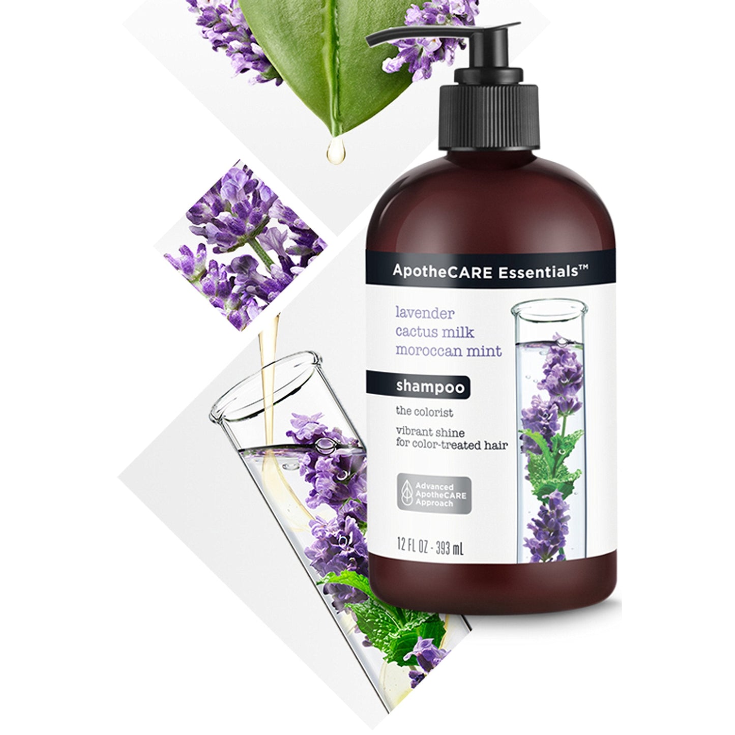 ApotheCARE Essentials The Colorist Shampoo, Lavender, Moroccan Mint, Cactus Milk, 12 oz Beauty & Personal Care ApotheCARE Essentials