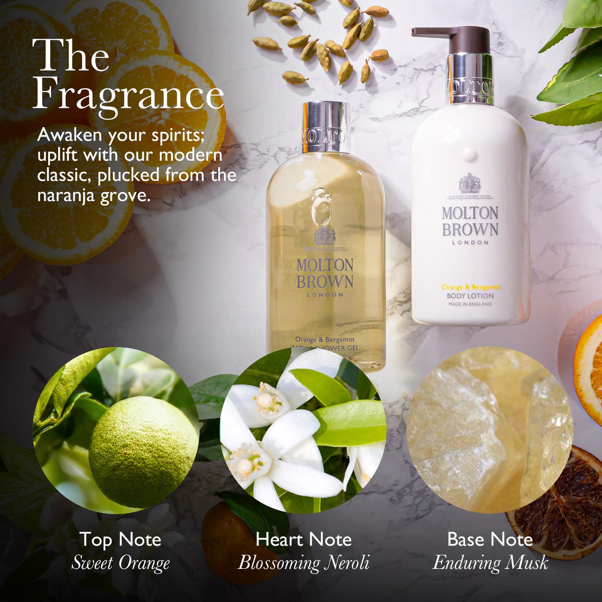 Molton Brown Orange & Bergamot Eau de Toilette 3.3 fl. oz. Beauty & Personal Care Molton Brown