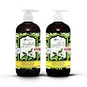 Tea Tree Oil & Biotin Shampoo & Conditioner Set for Men & Women | Professional Strength Formula | Refreshes & Stimulates Hair & Scalp | Moisturizing Beauty & Personal Care Vita A to Zee