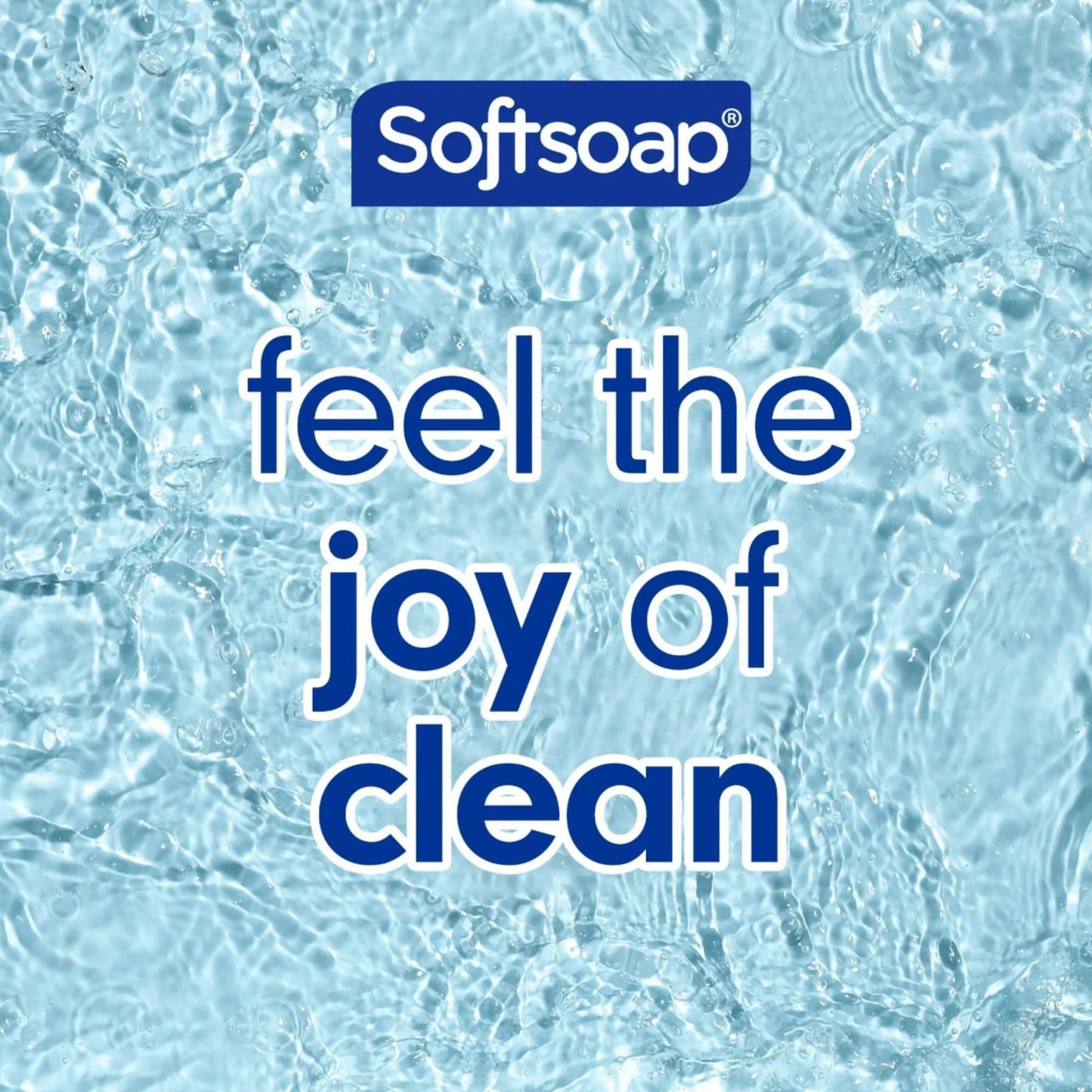 Softsoap Limited Edition Frosty Mint Peppermint Scented Liquid Hand Soap, 11.25 Fl Oz, 2 Pack, Winter Holiday Design Beauty & Personal Care Softsoap