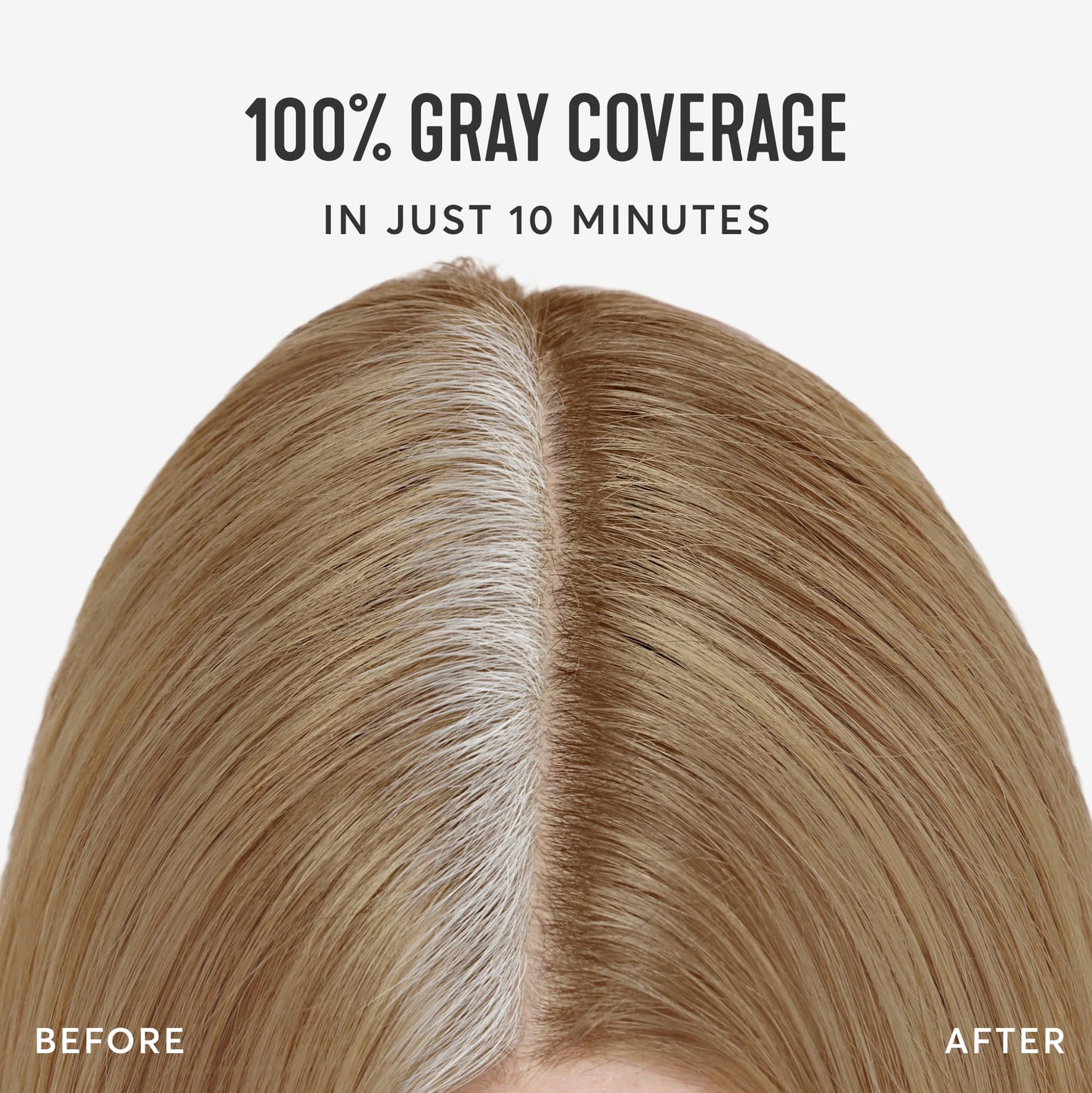 Madison Reed Root Perfection Root Touch Up Kit - 8N Bergamo Dark Blonde, 2 Permanent Applications, 100% Gray Coverage in 10 Min | PPD-Free Beauty & Personal Care Madison Reed
