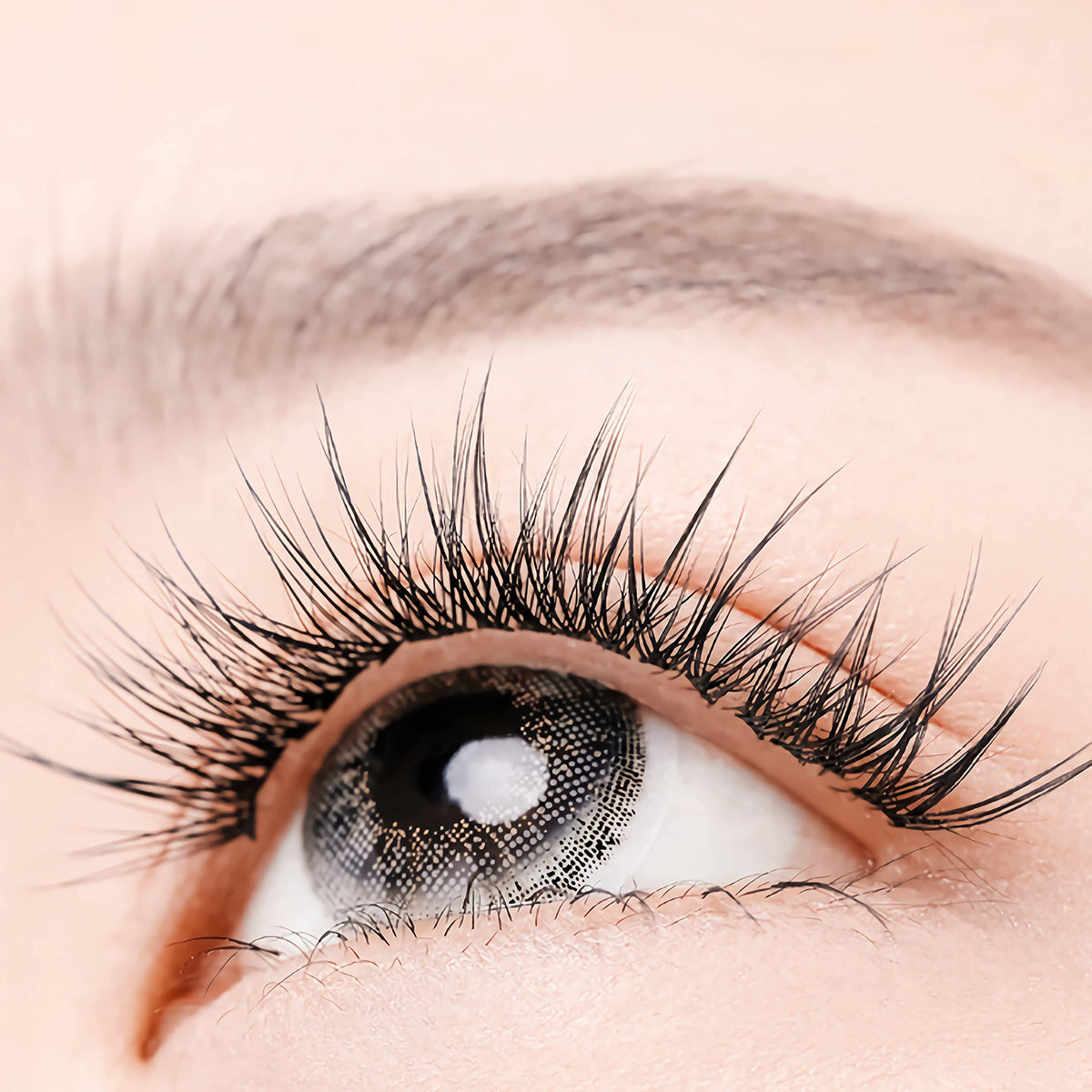 IECILI Individual Lashes/Lash Clusters 480pcs 8-14mm Cluster Eyelash Extensions /12 Roots/C Curl /0.07mm Cluster Lashes/Faux Mink Lash Extensions (C Beauty & Personal Care IECILI
