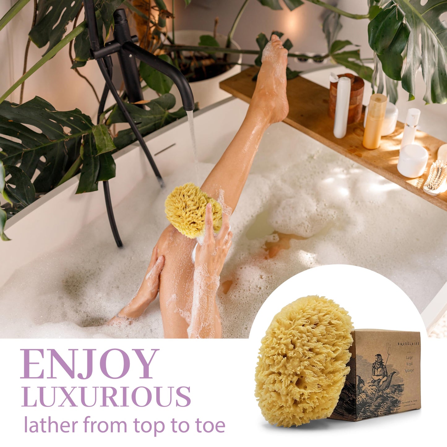 Baudelaire Sea Wool Sponge 5.5" - Natural Sea Sponge for Bathing and Shower - Durable, Sustainable & Environment-Friendly Loofah for Body Beauty & Personal Care Baudelaire