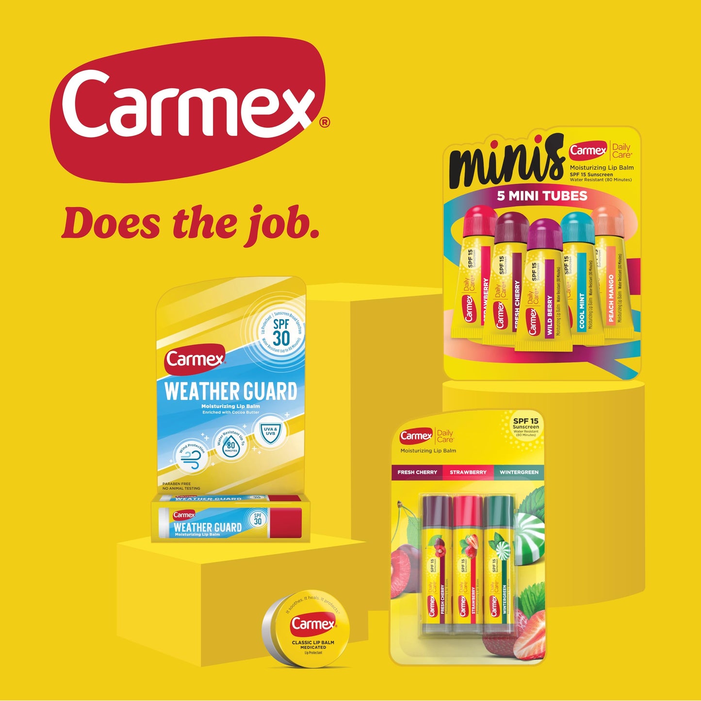 Carmex Classic Medicated Lip Balm Pack, Lip Moisturizer for Chapped Lips, 9-Count Variety Pack Bag (2 Tubes, 7 Sticks) Beauty and Personal Care Carmex