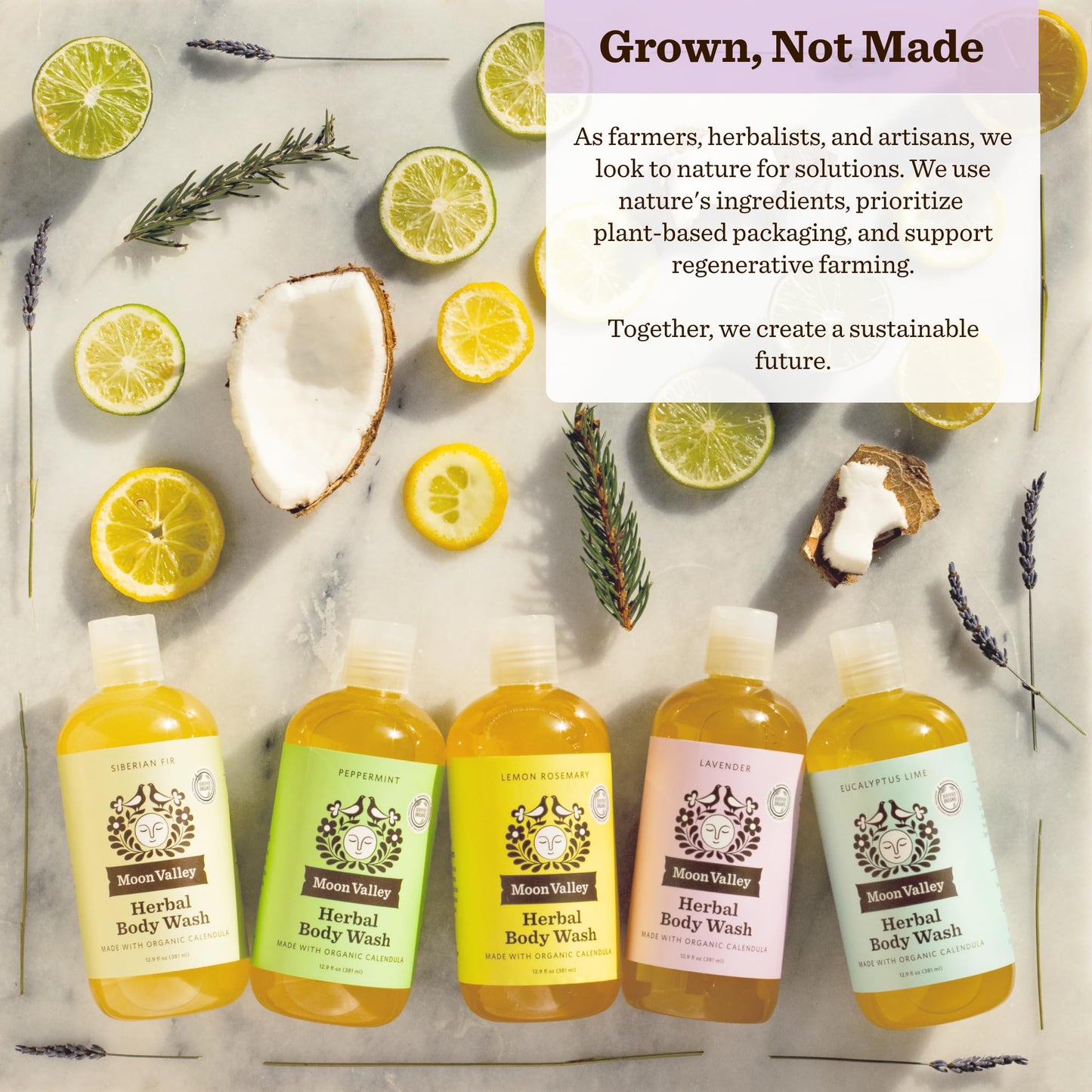 Herbal Body Wash, Lavender by Moon Valley, All Natural Ingredients, No Parabens, Vegan, Moisturizing Essential Oils, Two Pack Beauty & Personal Care Moon Valley Organics