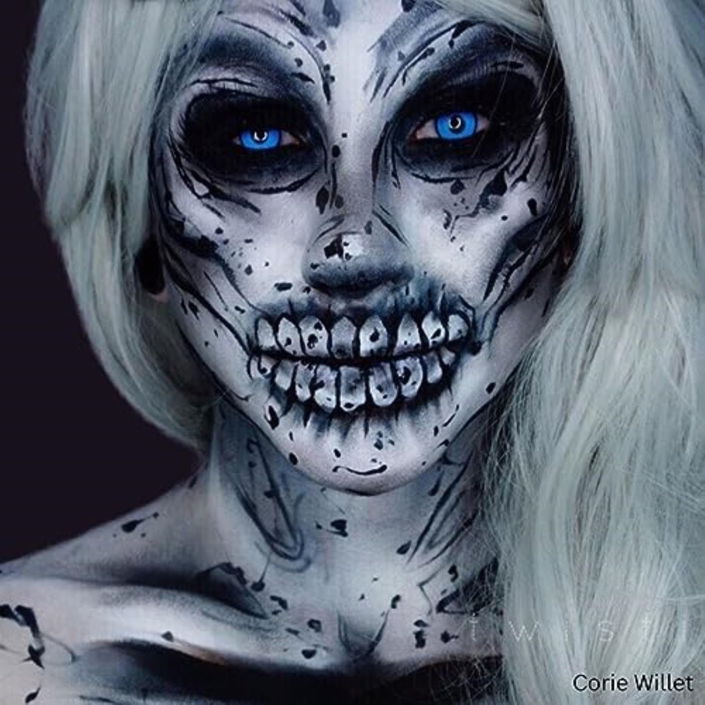 Mehron Makeup Liquid Makeup | Face Paint and Body Paint Perfect for Halloween, Cosplay I Air Brush Compatible (1 oz) (BLACK) Beauty & Personal Care Mehron