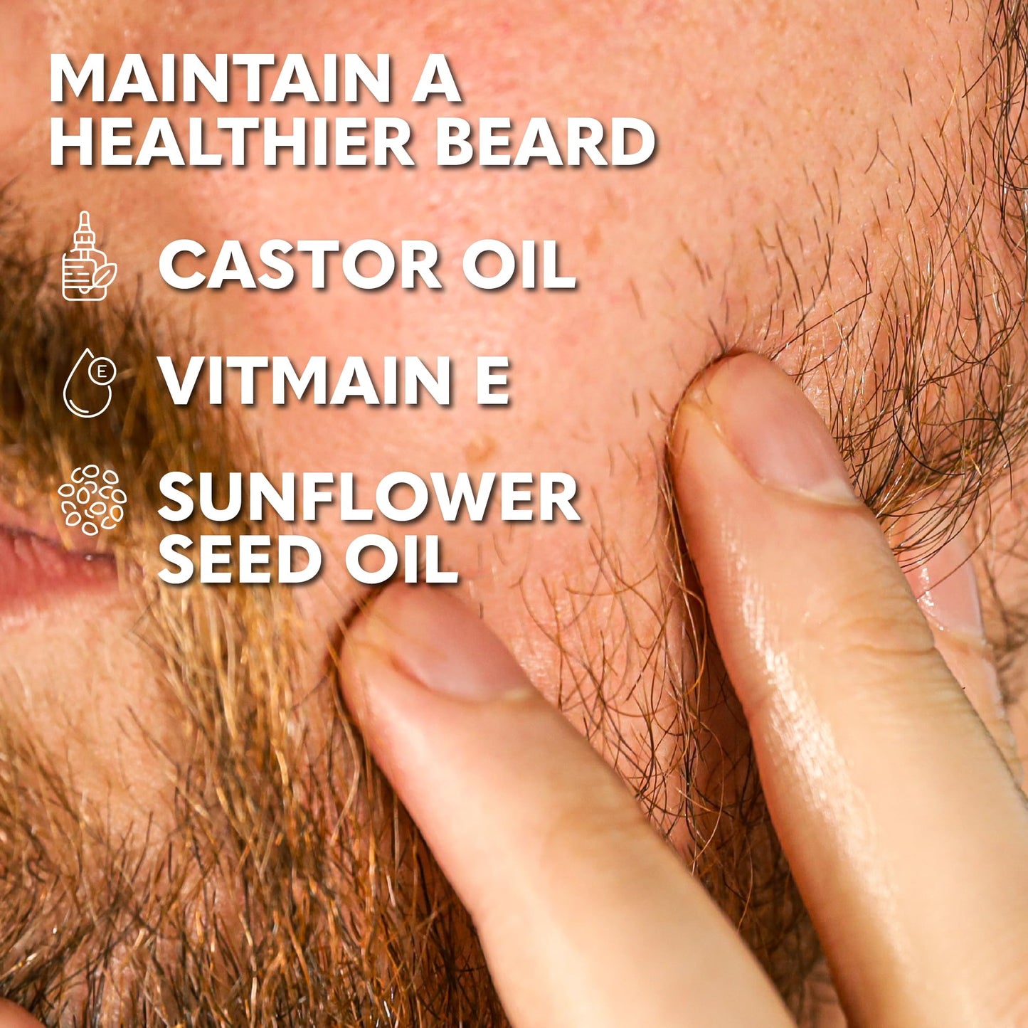 The Beard Club Duo Pack: Premium Cedar & Sandalwood Beard Oils for Men - Natural Moisturizer, Conditioner - Hydrates, Softens, Strengthens Hair Beauty and Personal Care The Beard Club