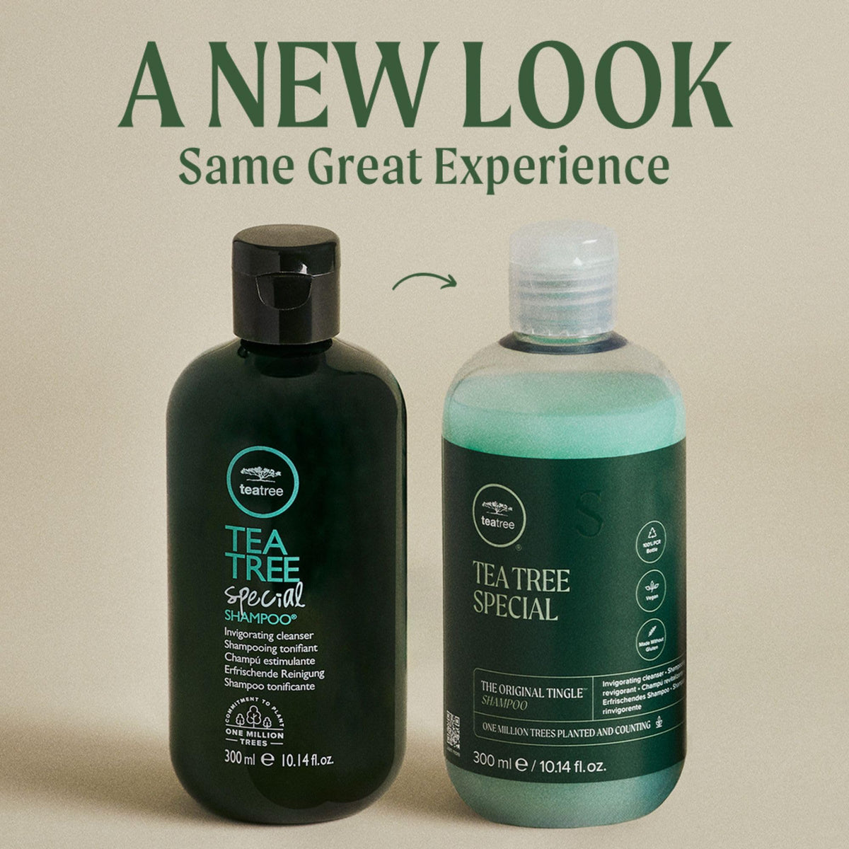 Tea Tree Special Shampoo, Deep Cleans, Refreshes Scalp, For All Hair Types, Especially Oily Hair, 16.9 fl. oz. Beauty & Personal Care Tea Tree