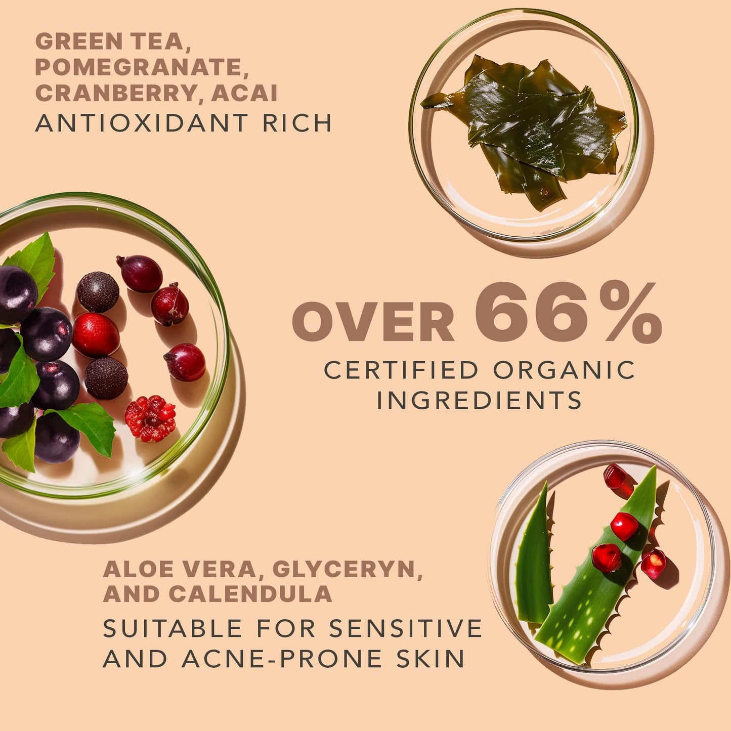 Beauty by Earth Clean Face Wash - USA Made with Organic & Natural Ingredients, Non-Toxic Facial Cleanser Beauty & Personal Care Beauty by Earth